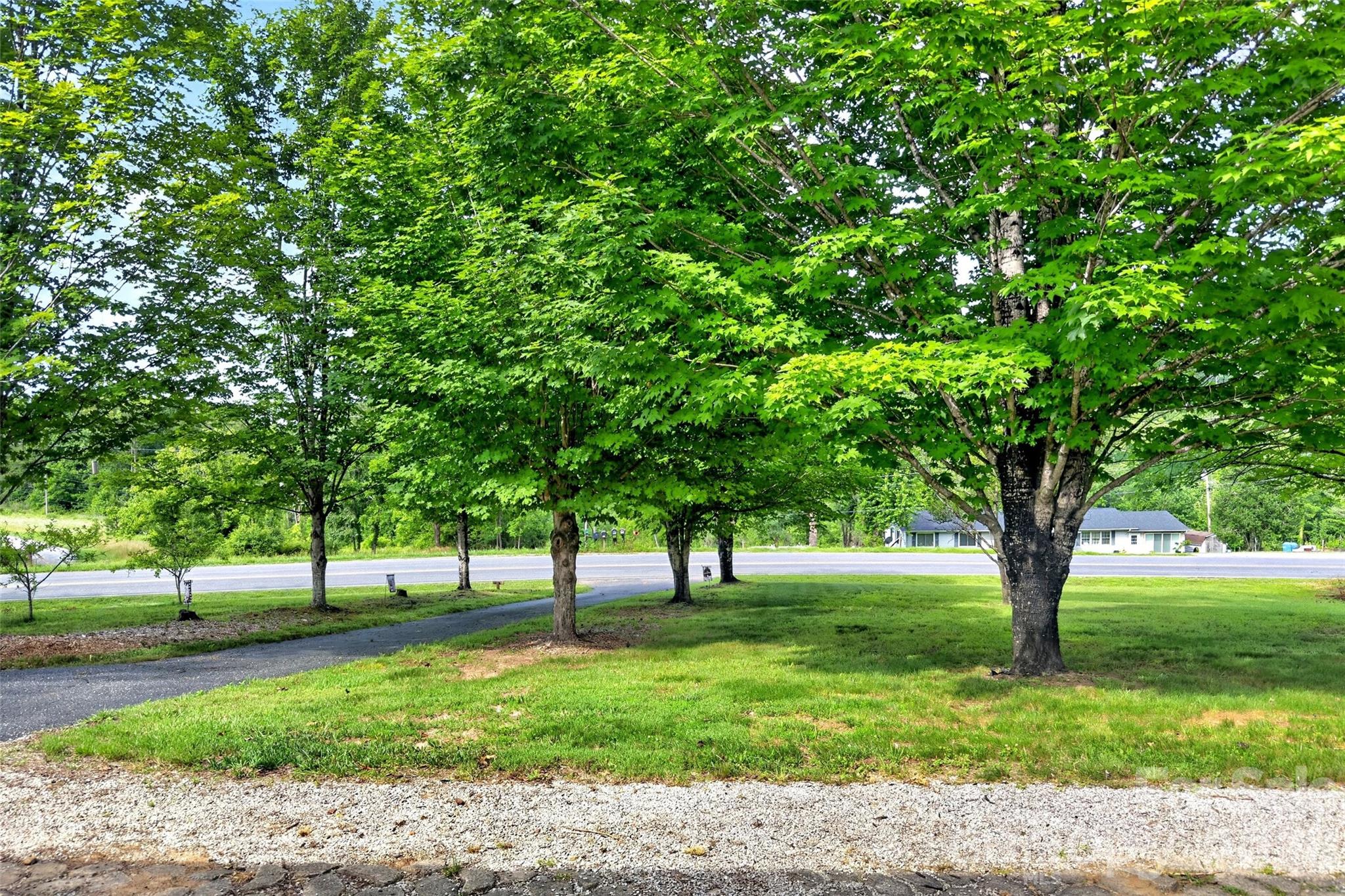 2355 Tatertown Loop — Nebo