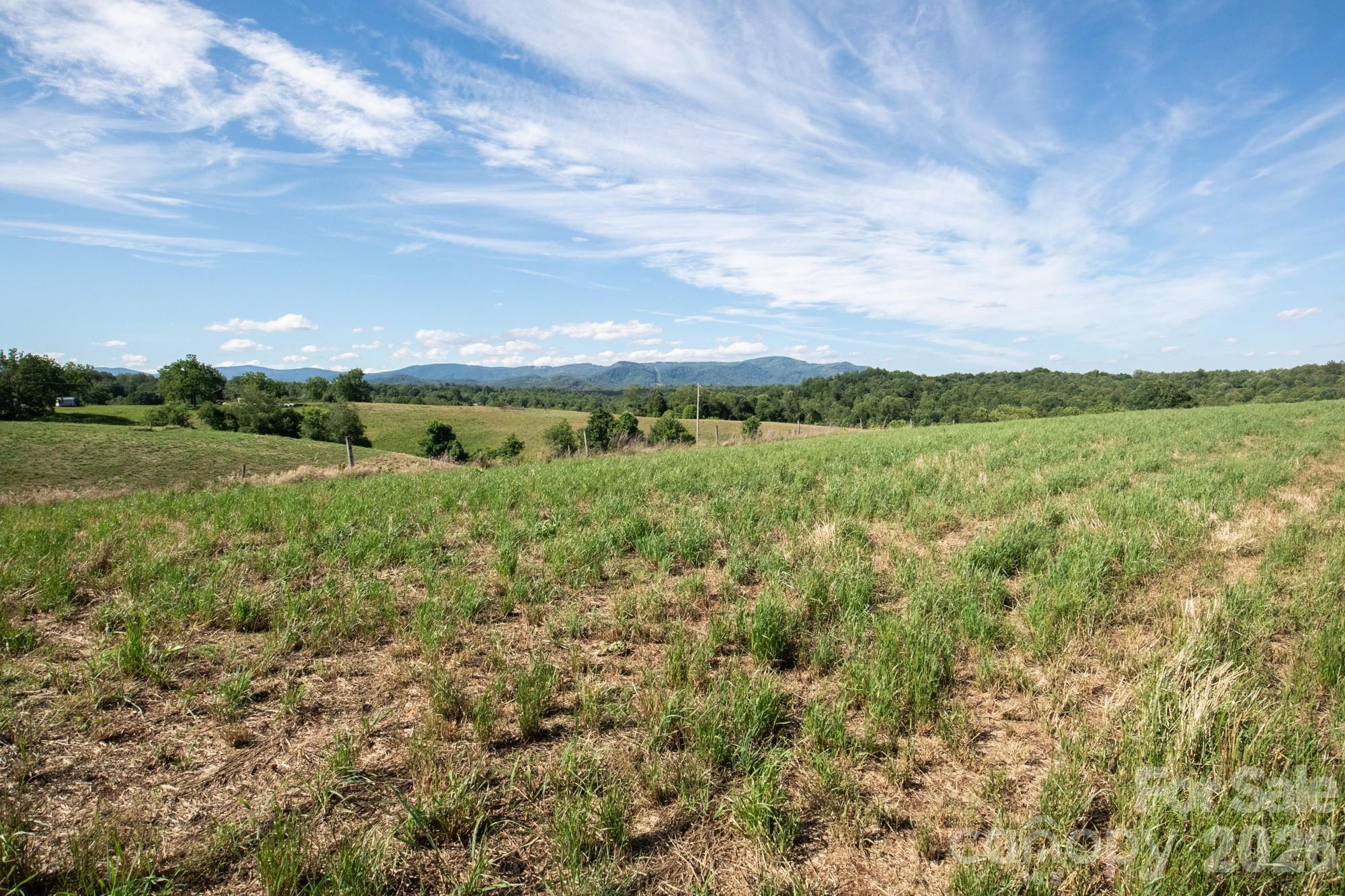 1779 Round Hill Church Road — Traphill