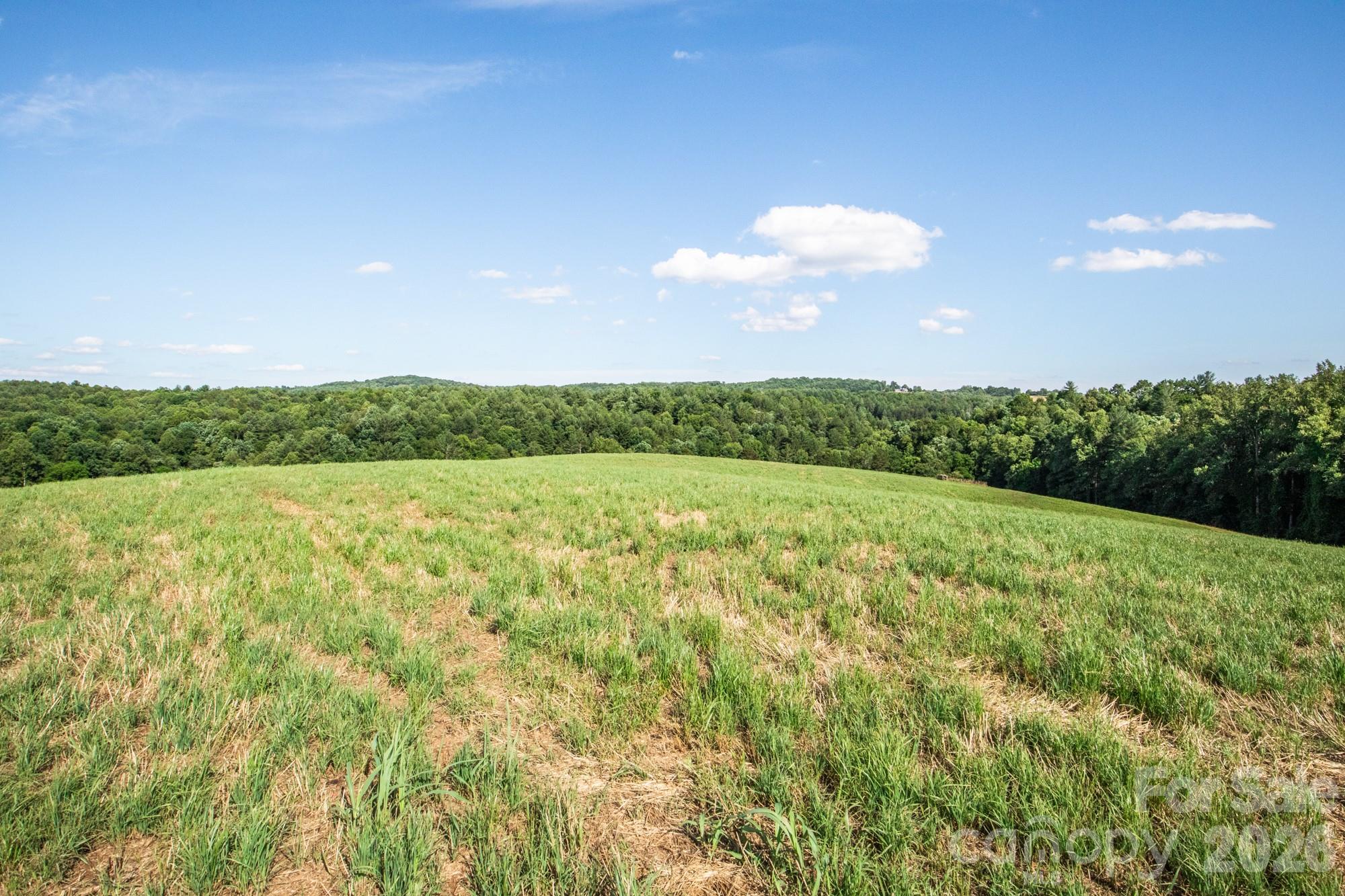1779 Round Hill Church Road — Traphill