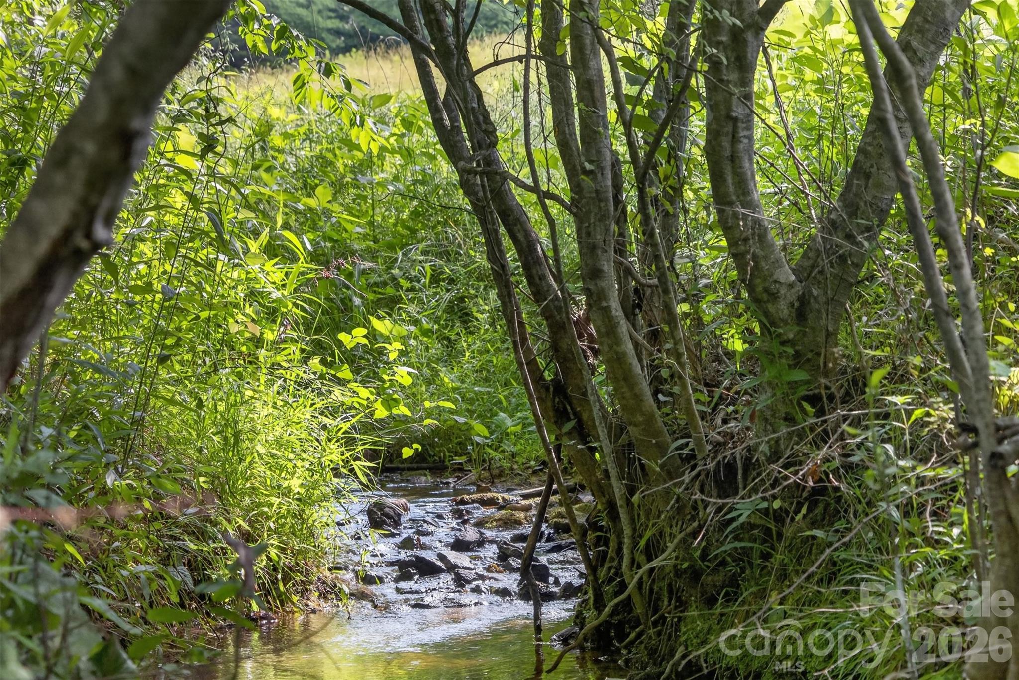 485 Frog Creek Road — Union Mills