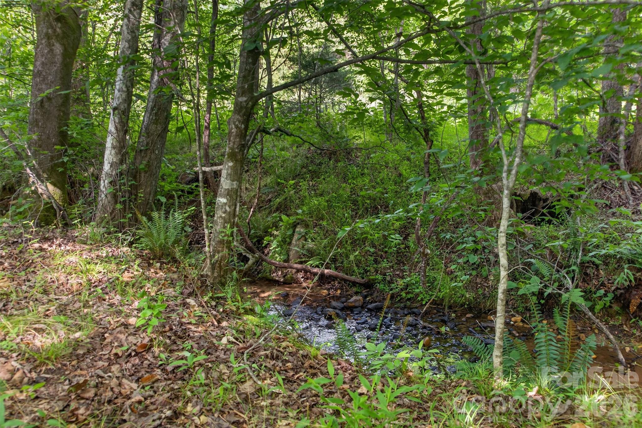 485 Frog Creek Road — Union Mills