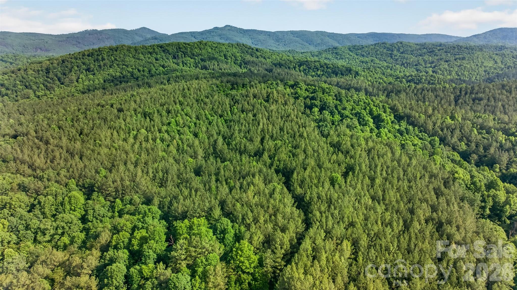 485 Frog Creek Road — Union Mills