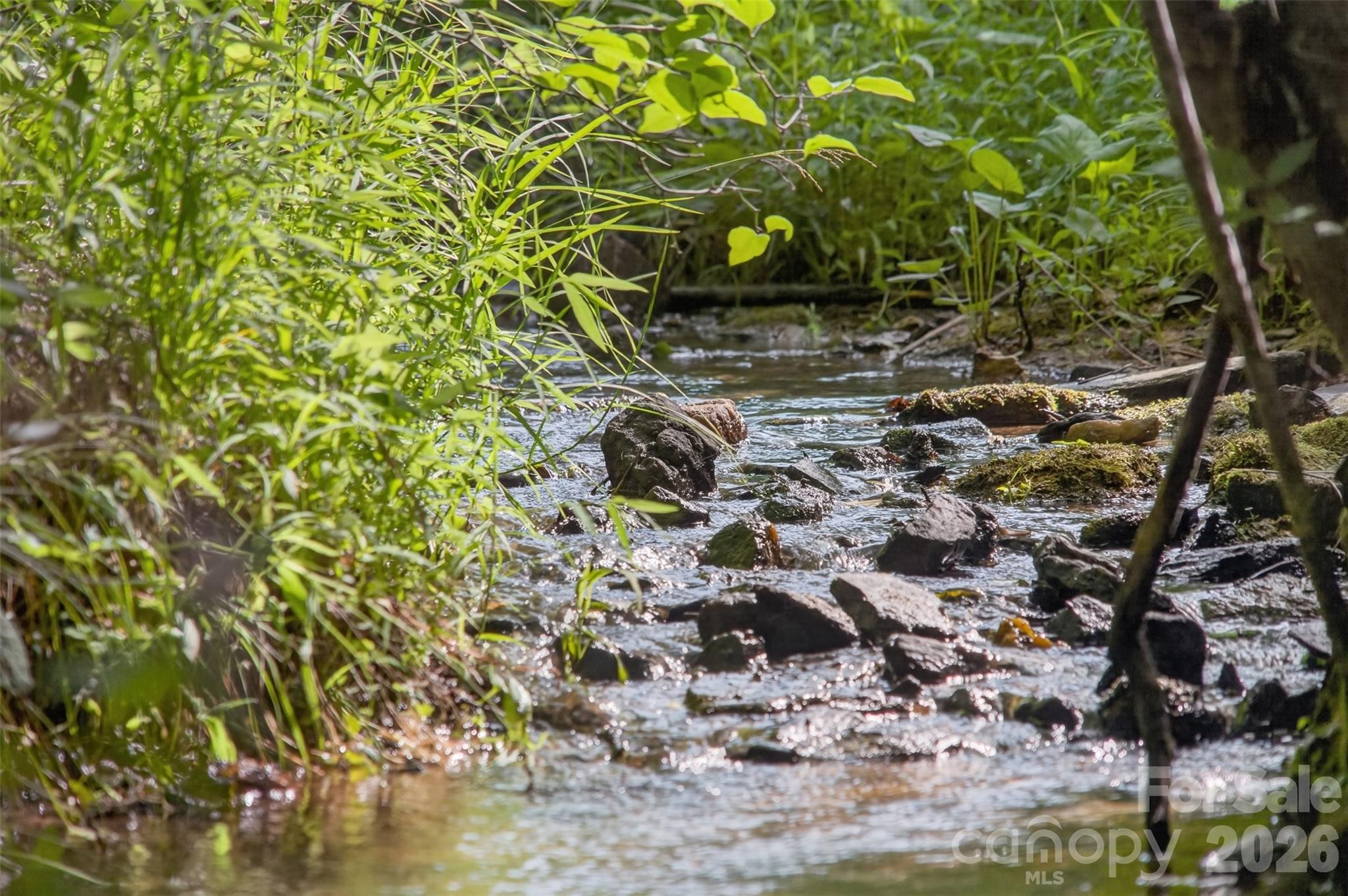485 Frog Creek Road — Union Mills