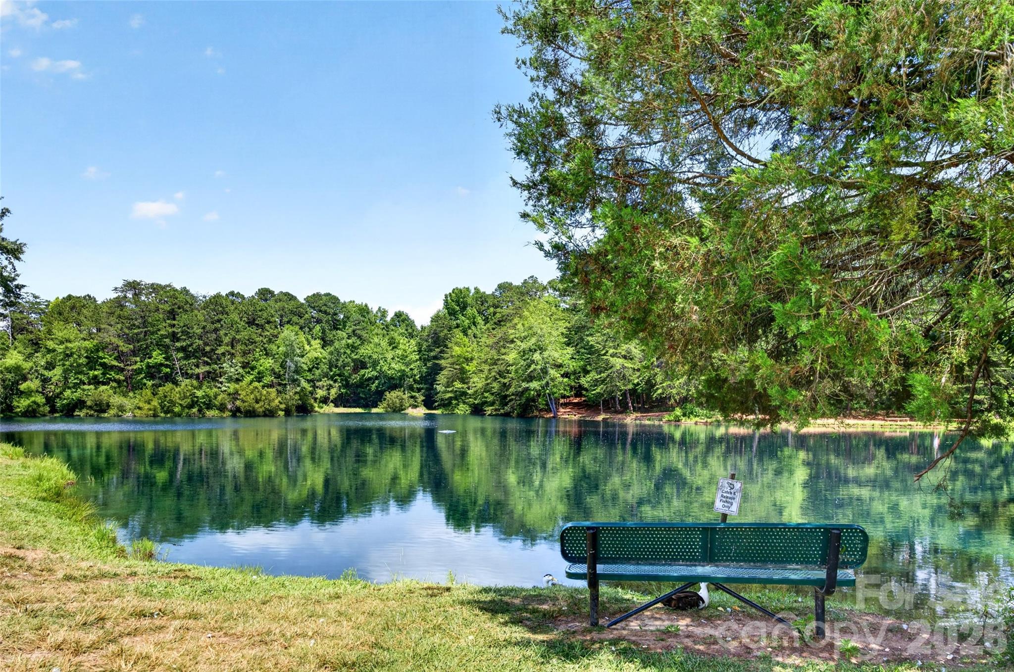 142 Elrosa Road — Mooresville