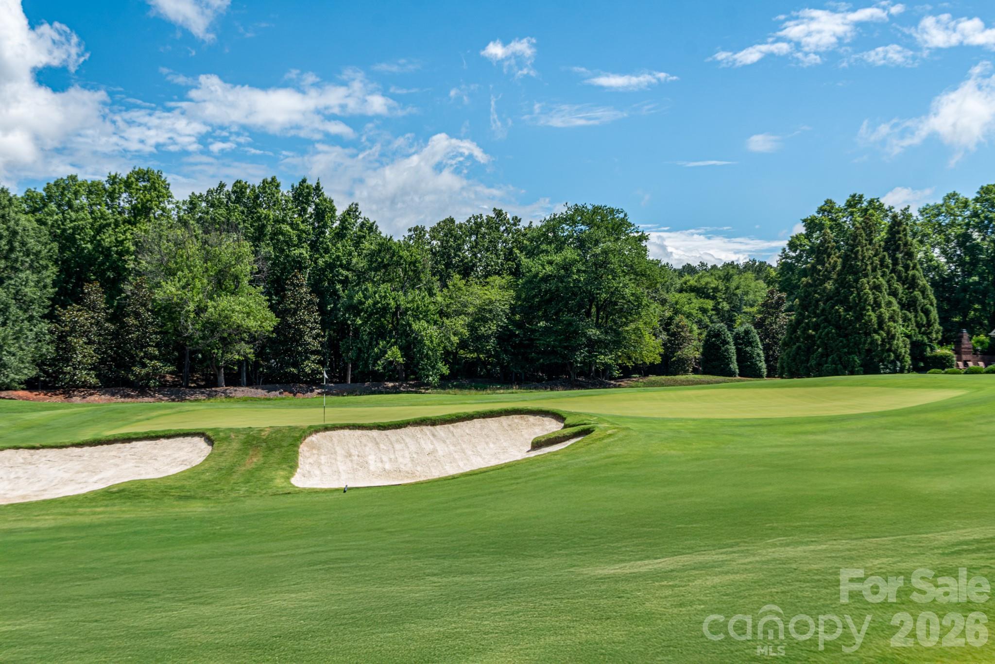 19223 Stableford Lane — Cornelius