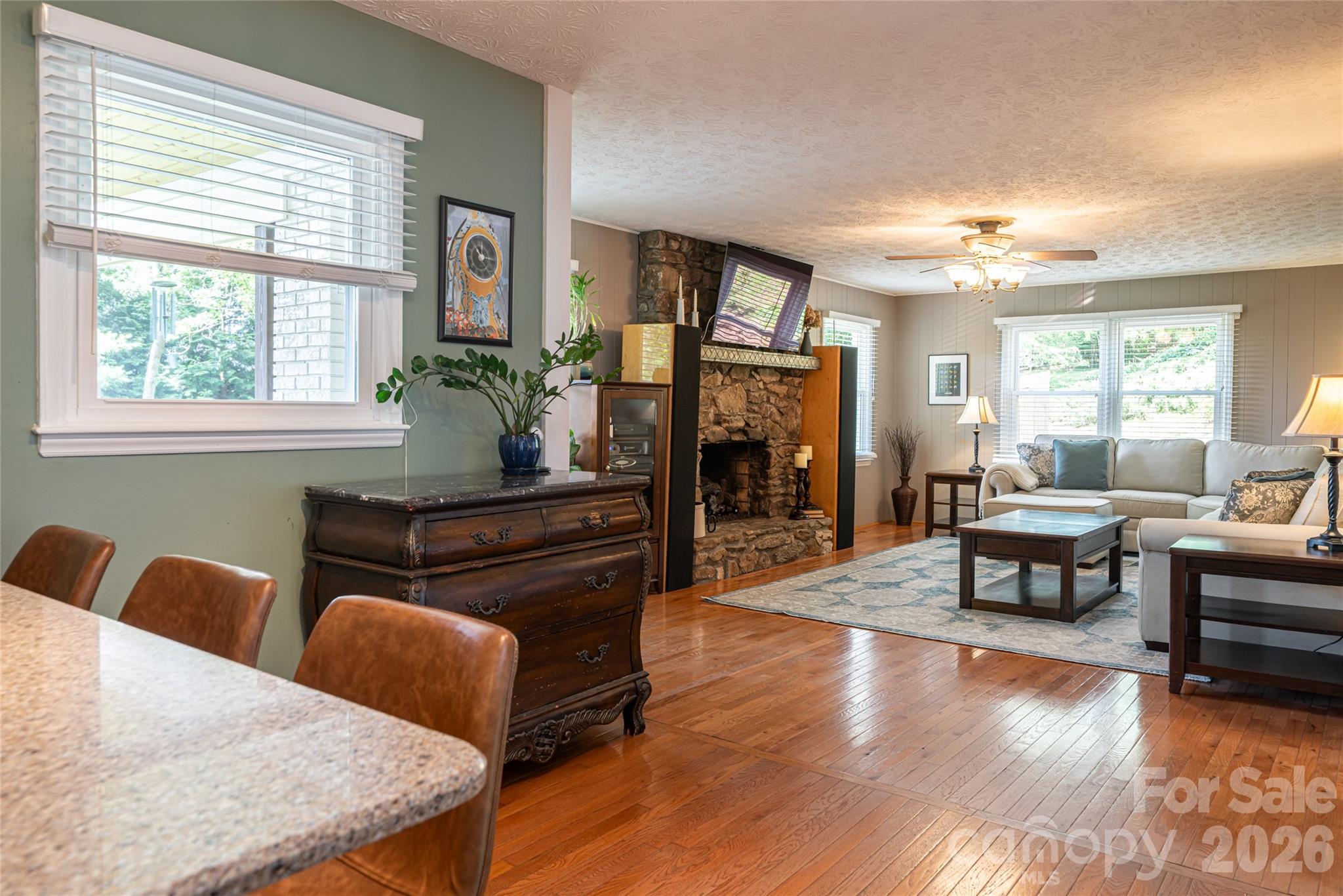 24 Audubon Drive — Asheville