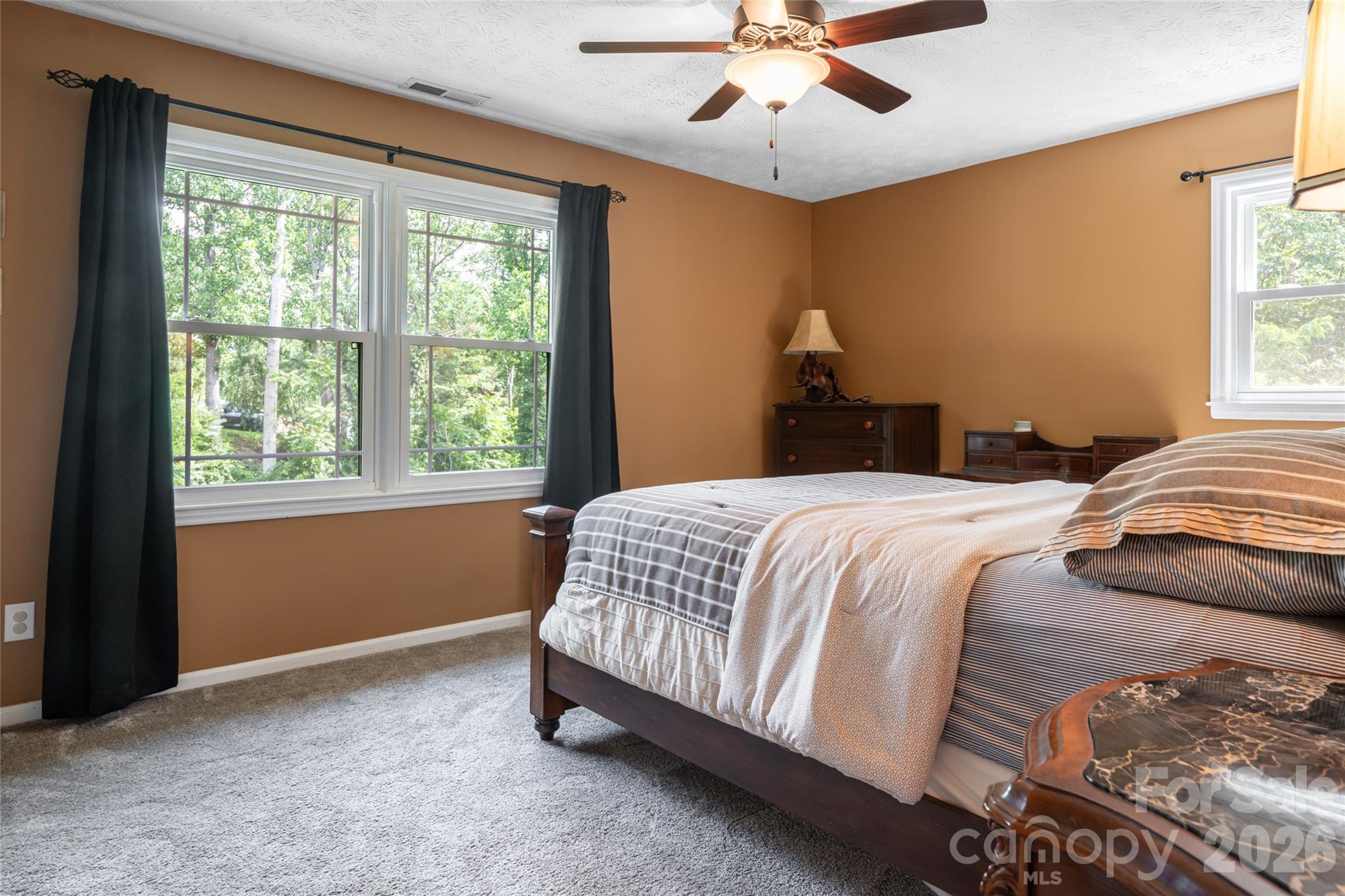 24 Audubon Drive — Asheville