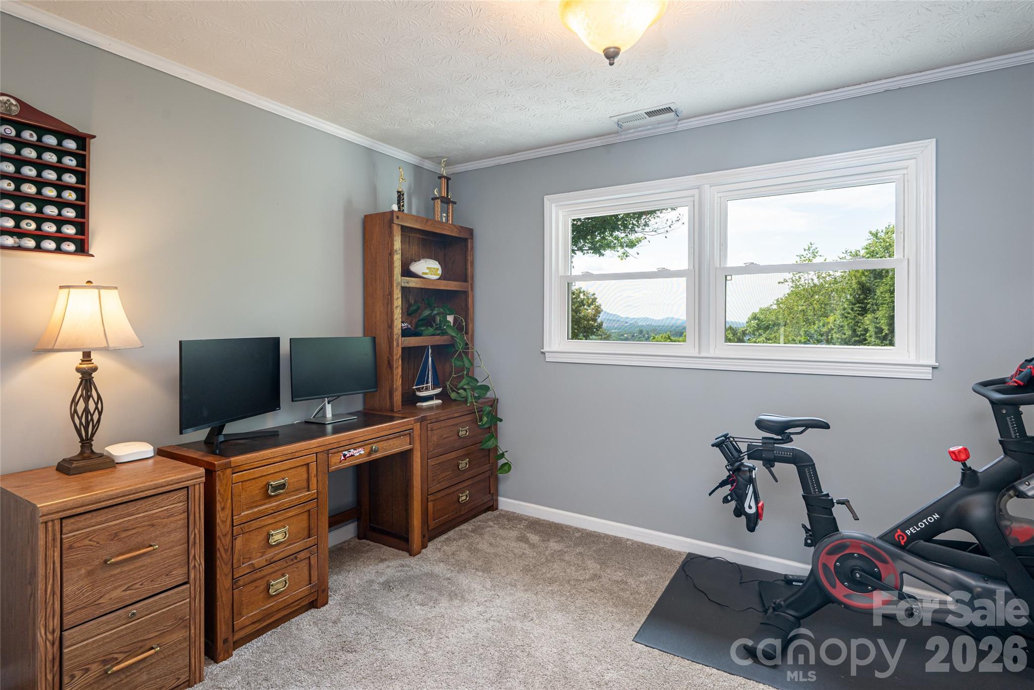 24 Audubon Drive — Asheville