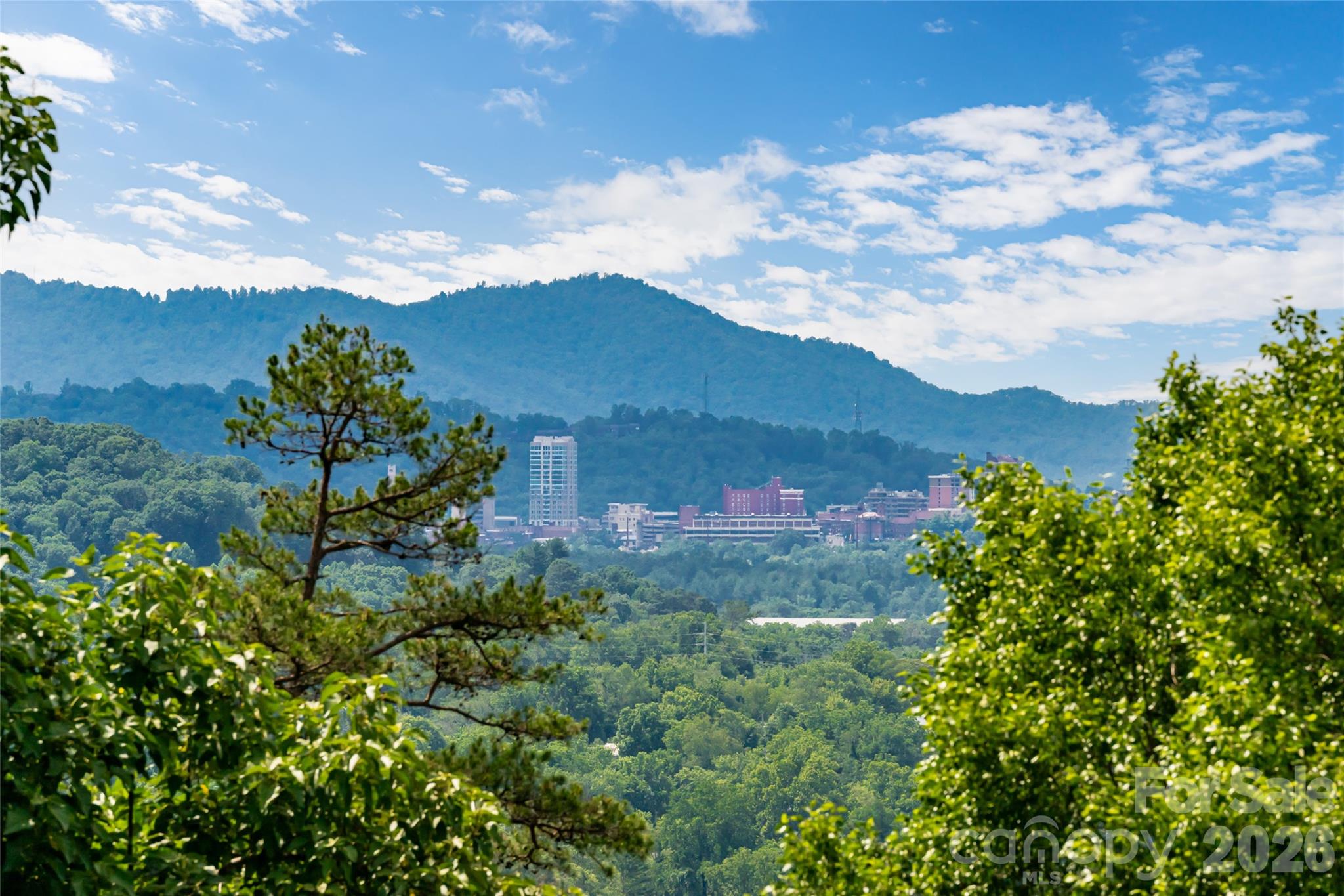24 Audubon Drive — Asheville
