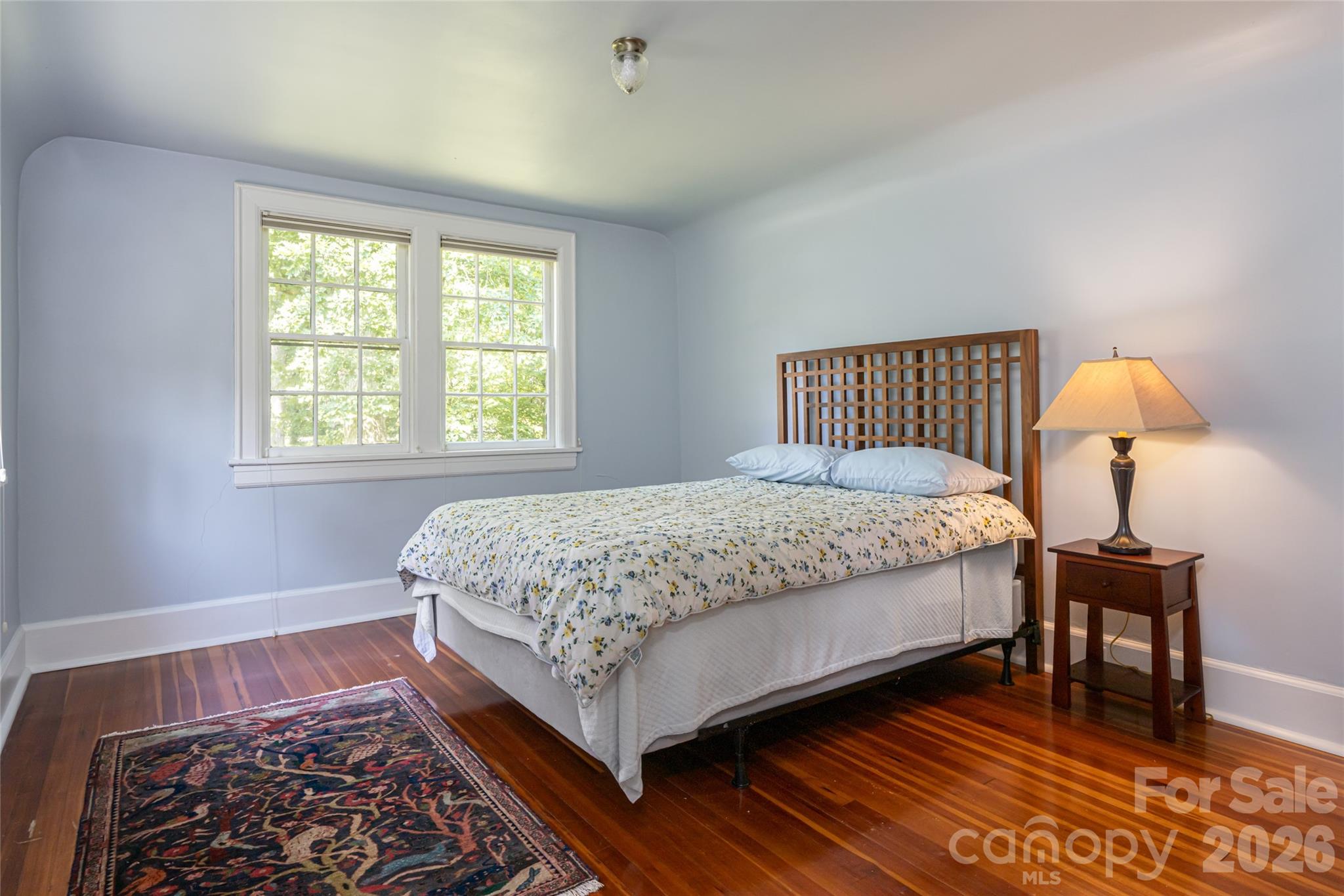 20 Buena Vista Road — Asheville