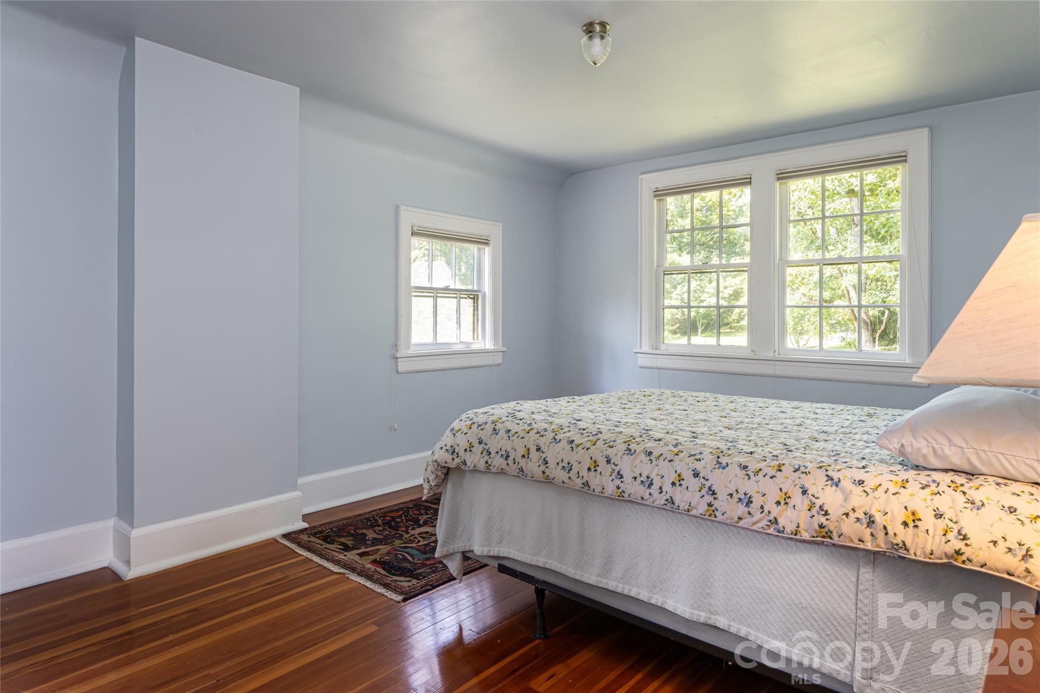 20 Buena Vista Road — Asheville