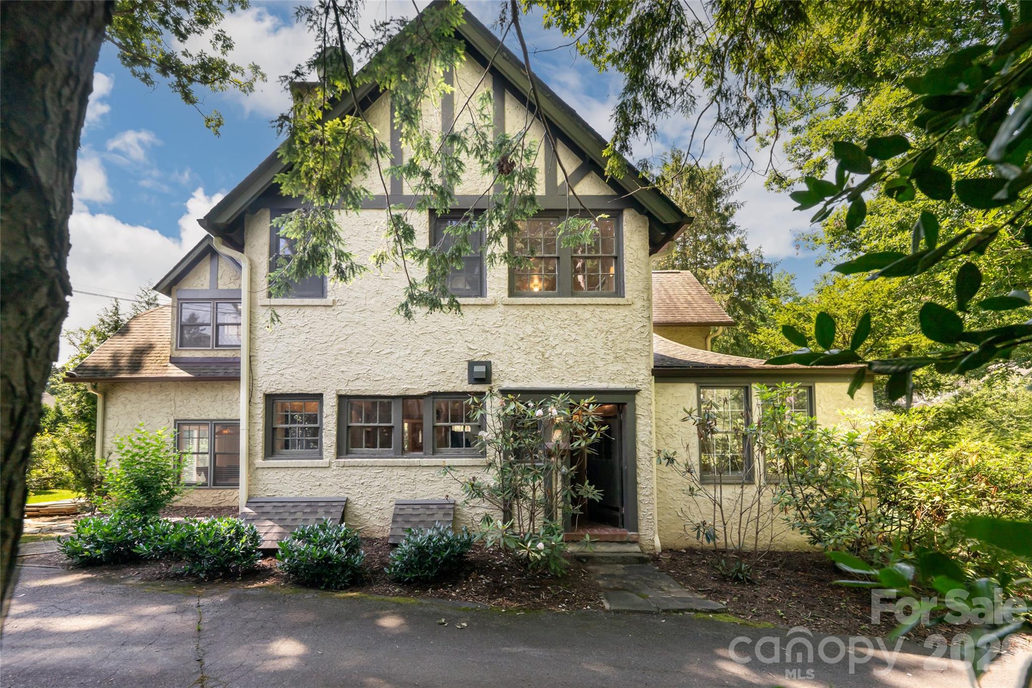 20 Buena Vista Road — Asheville