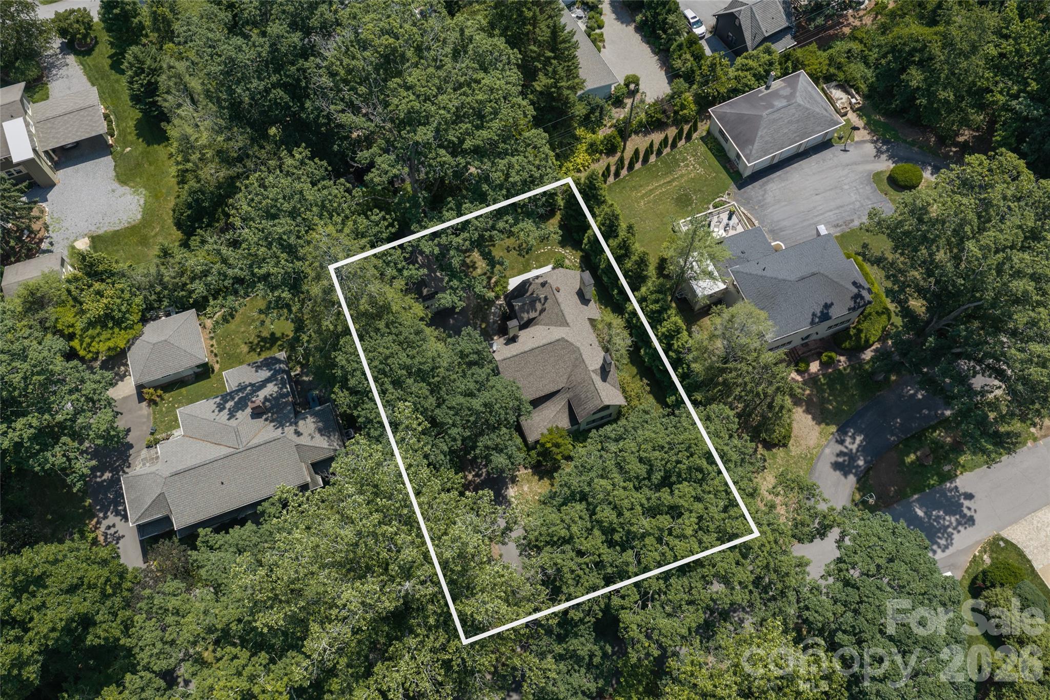 20 Buena Vista Road — Asheville