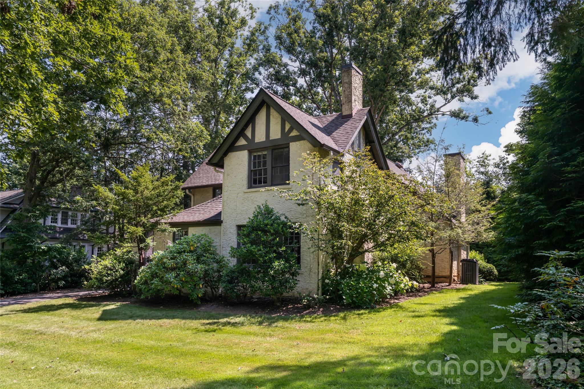20 Buena Vista Road — Asheville