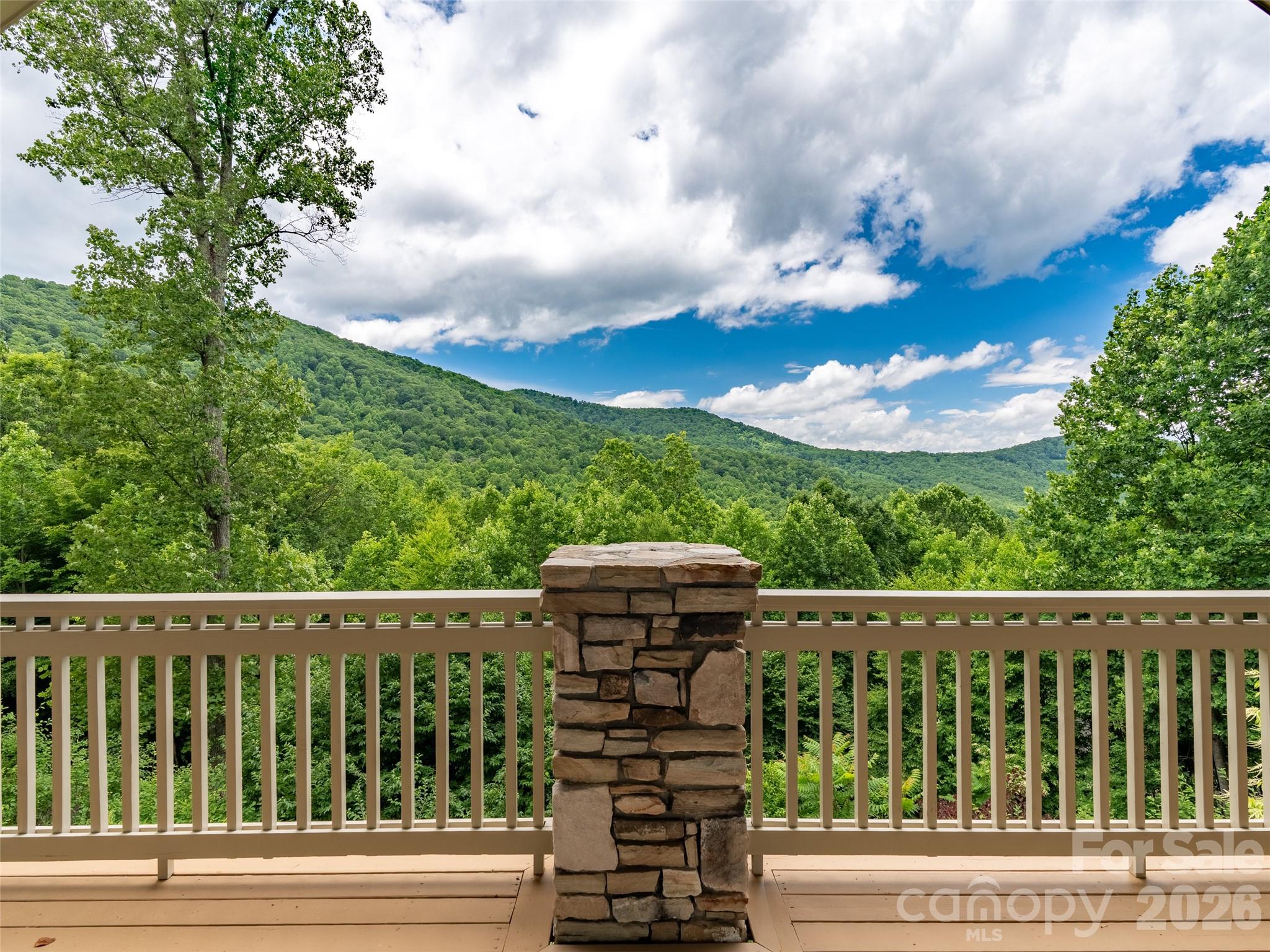 890 Stoney Stream Lane — Arden