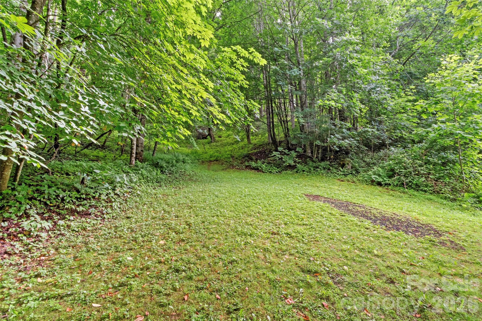 1210 Blevins Branch Road — Bakersville