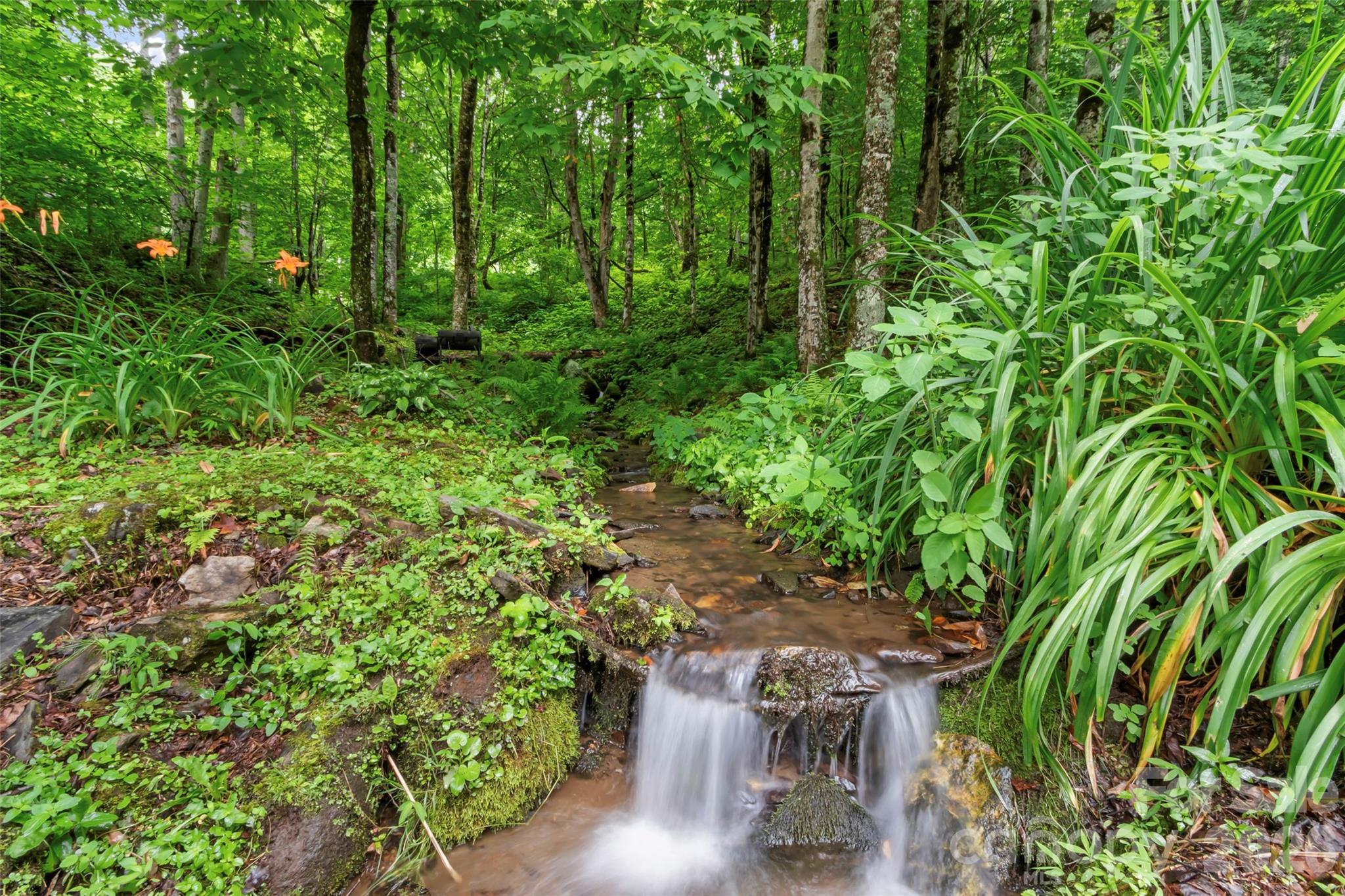1210 Blevins Branch Road — Bakersville