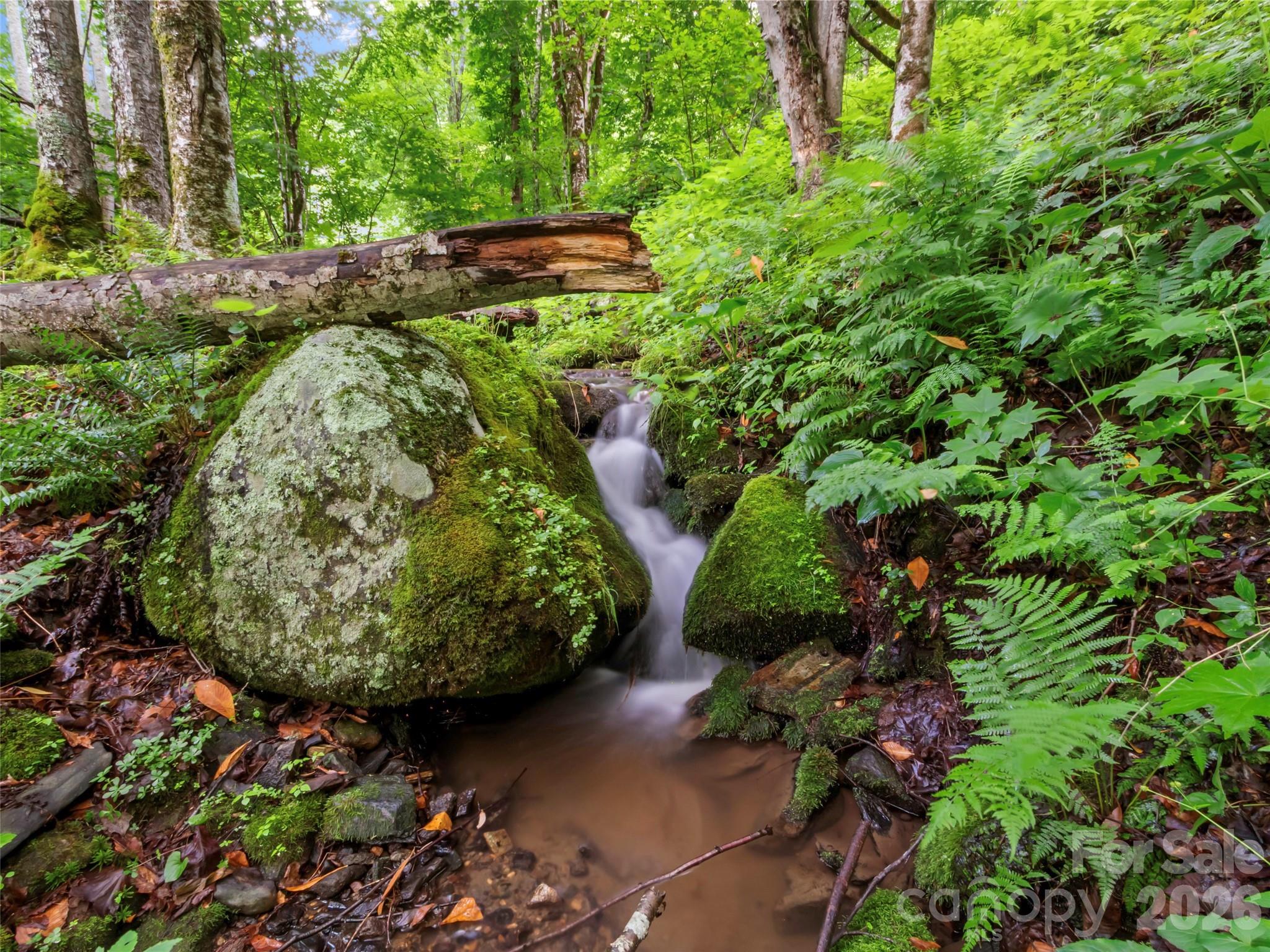 1210 Blevins Branch Road — Bakersville