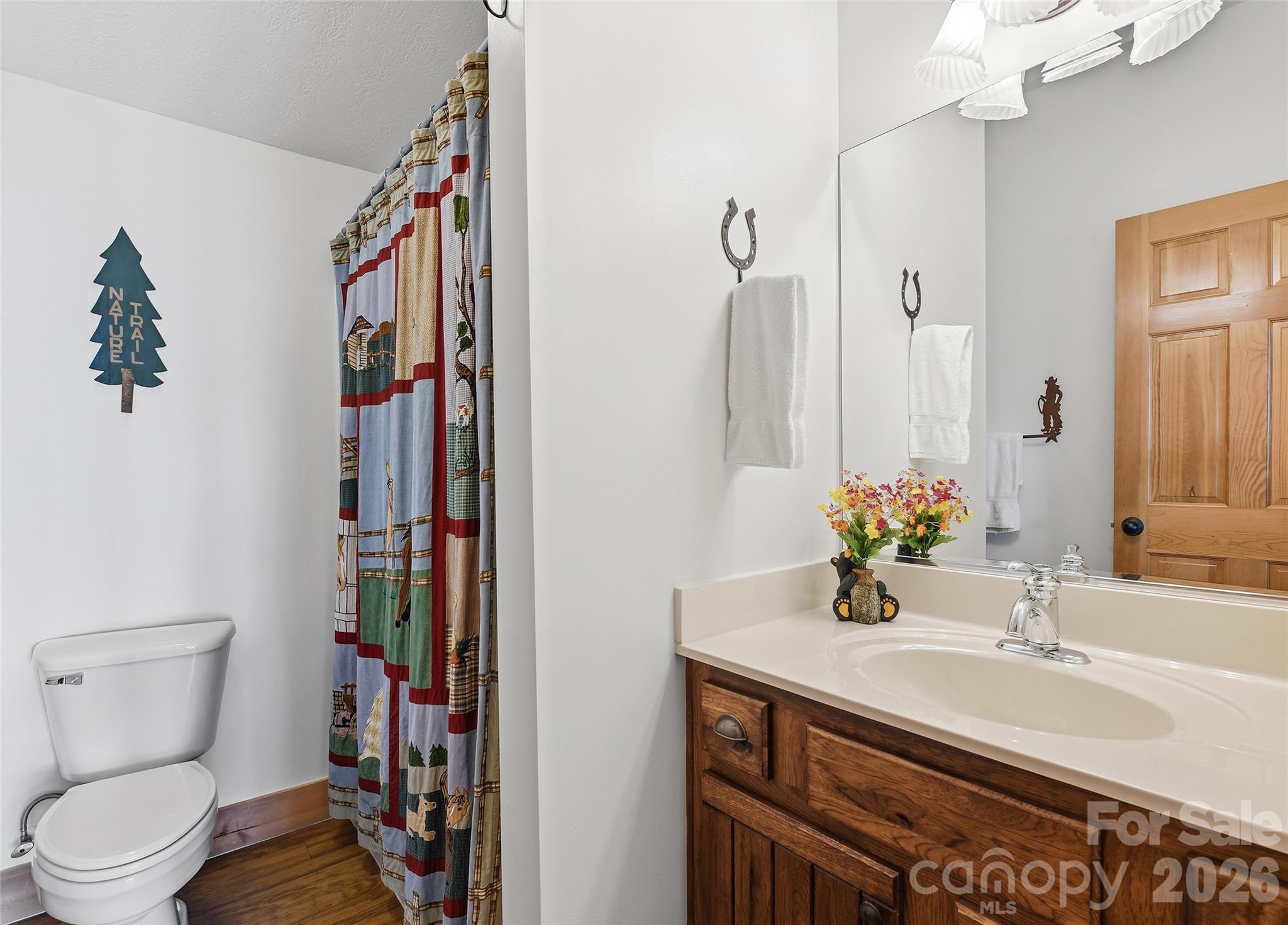 207 Walela Trail — Maggie Valley