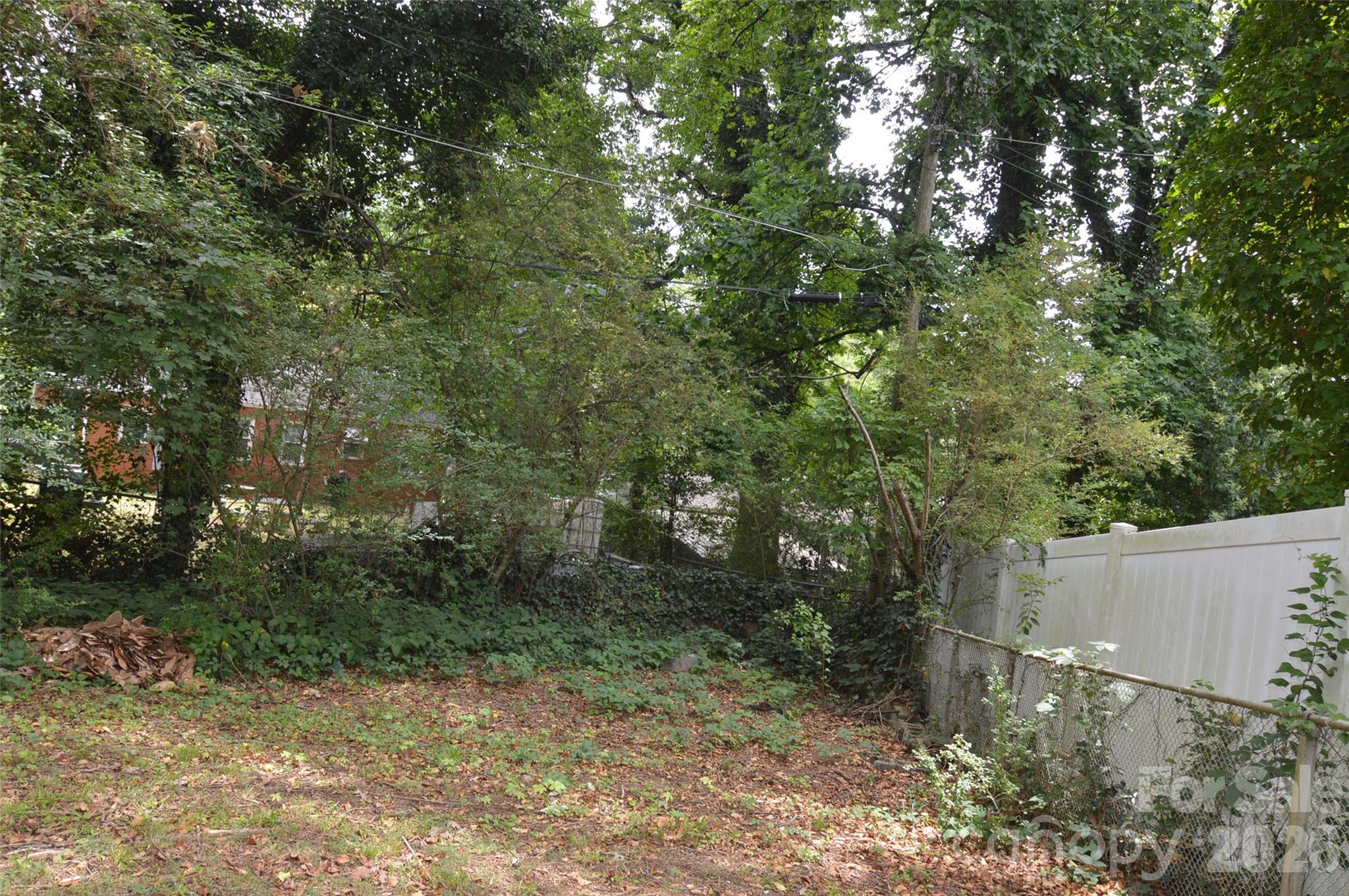 2111 Dickens Avenue — Charlotte