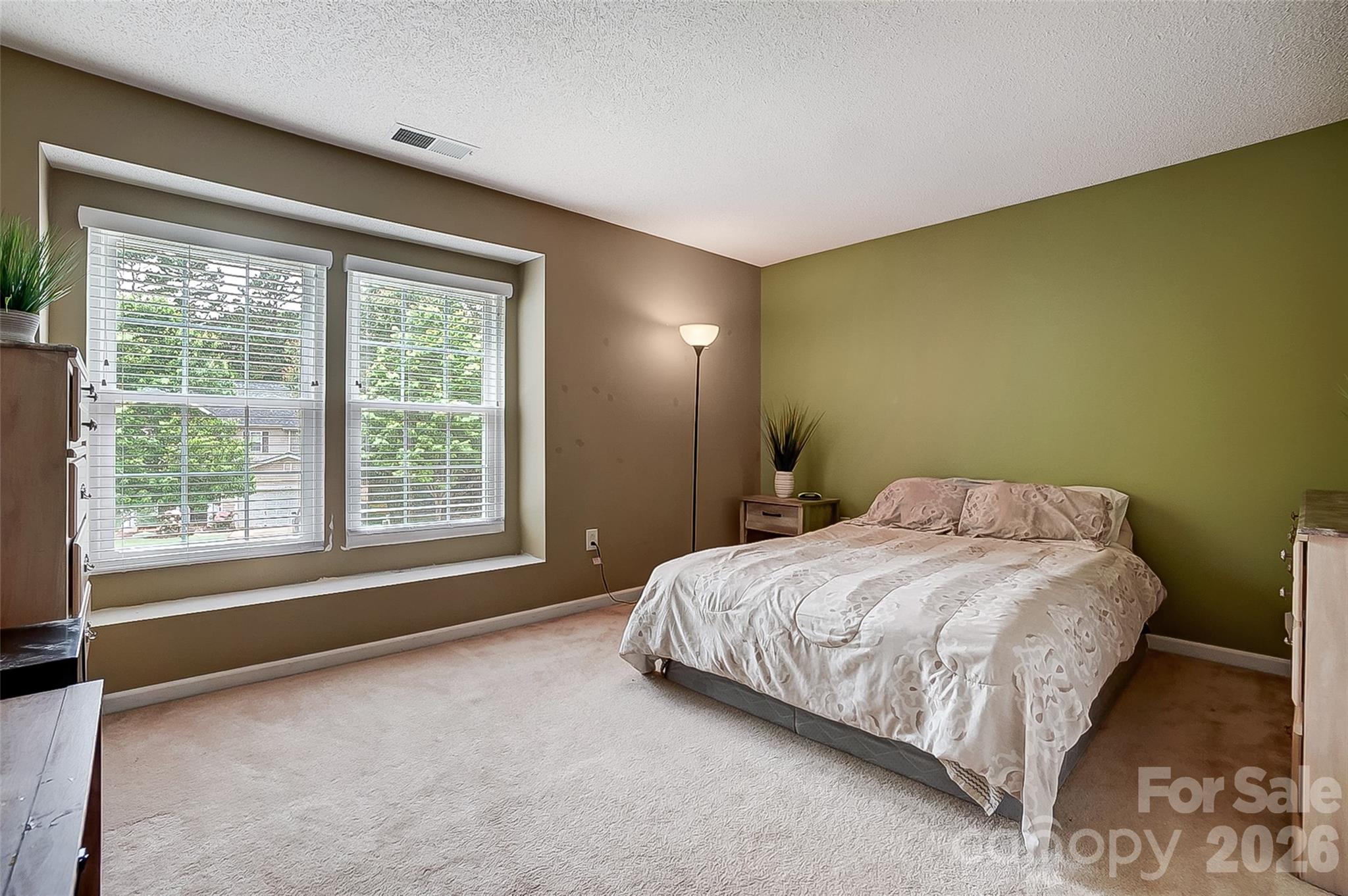 2717 Markham Woods Court — Charlotte
