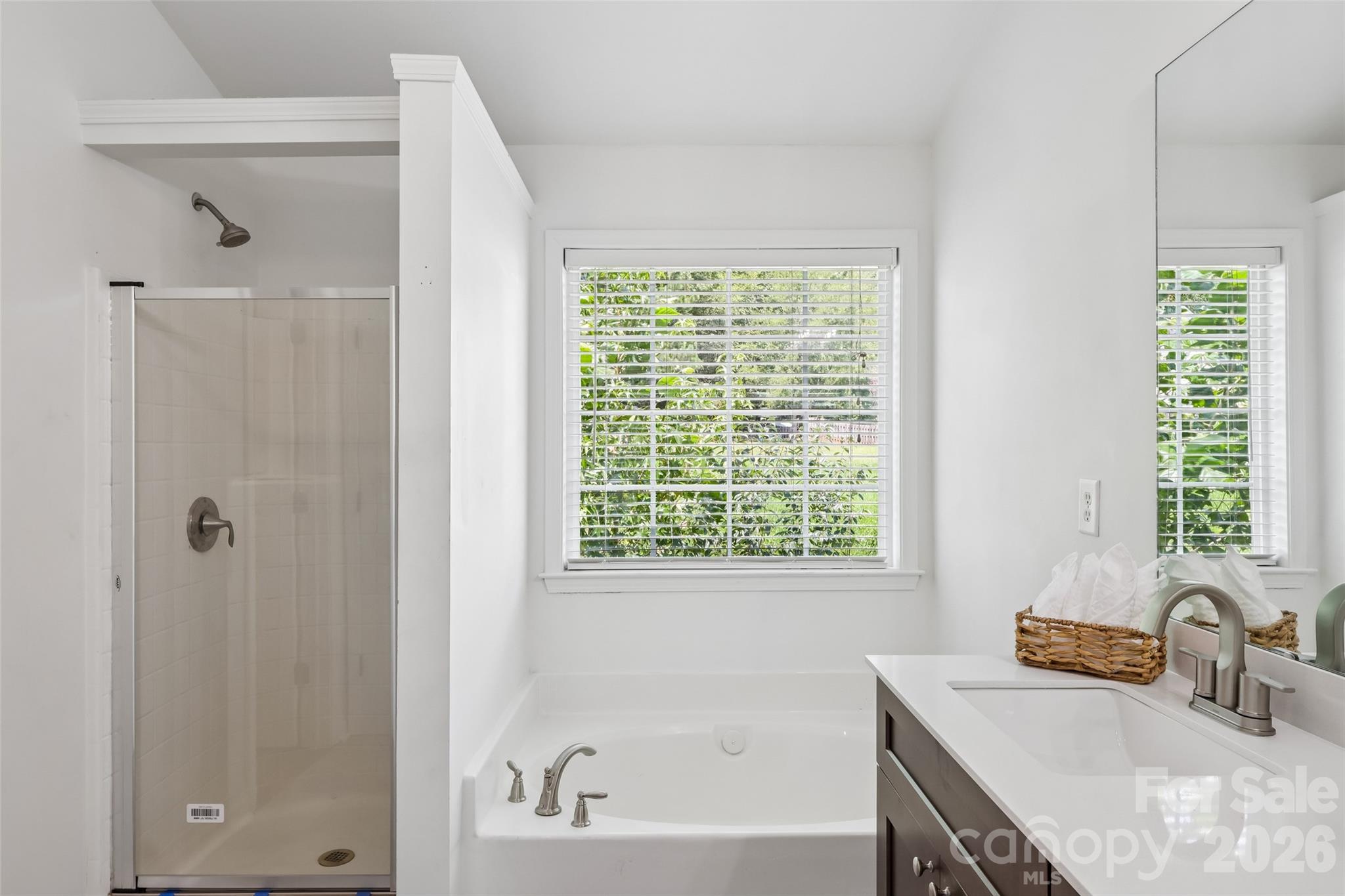 10908 Chastain Parc Drive — Charlotte