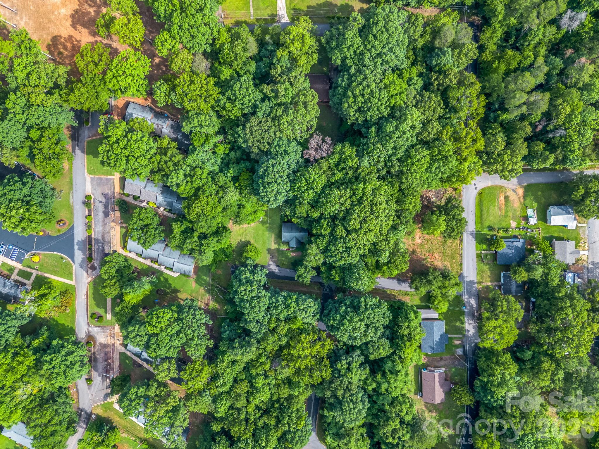 126 Bittle Street — Forest City