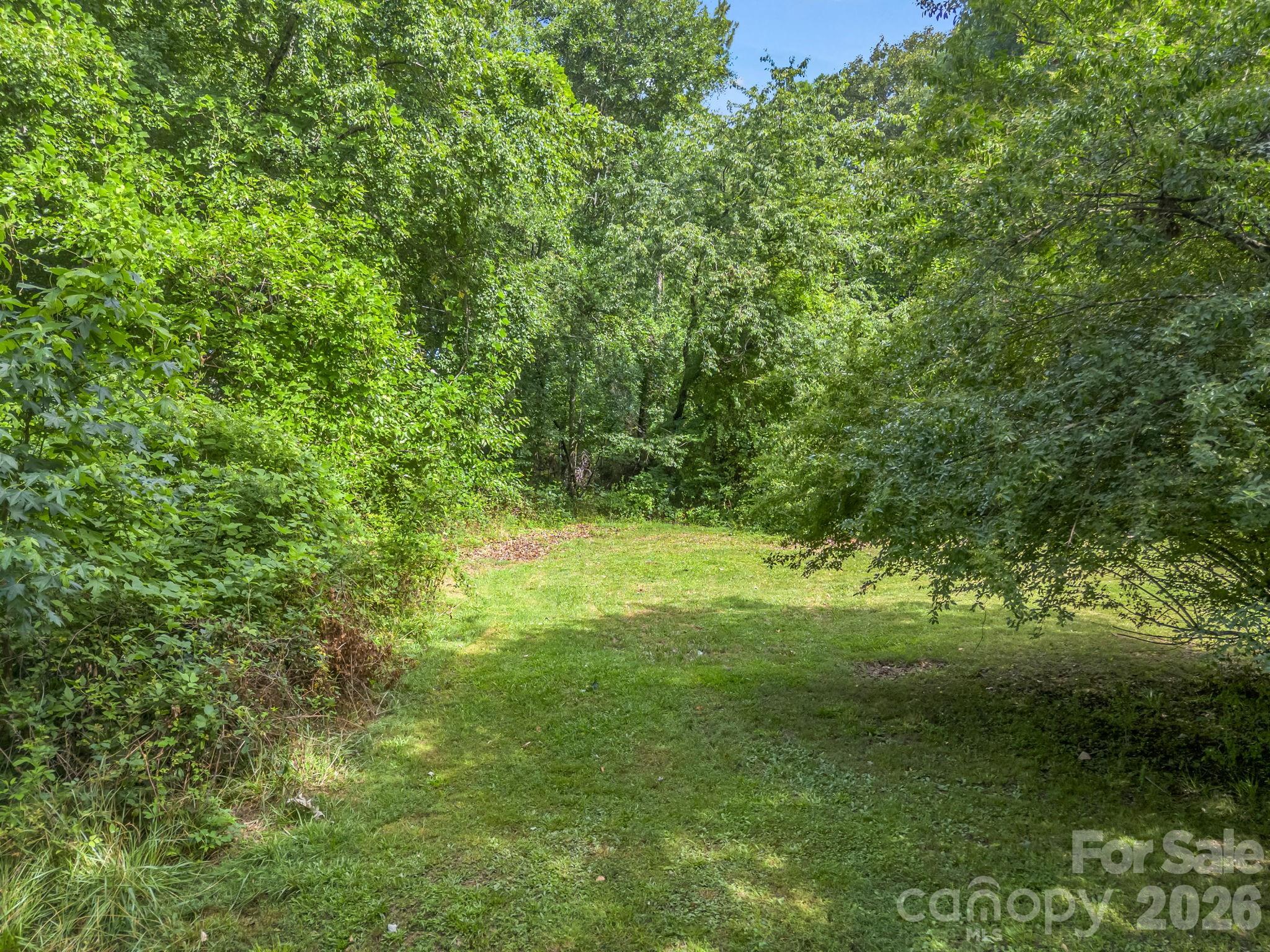 126 Bittle Street — Forest City