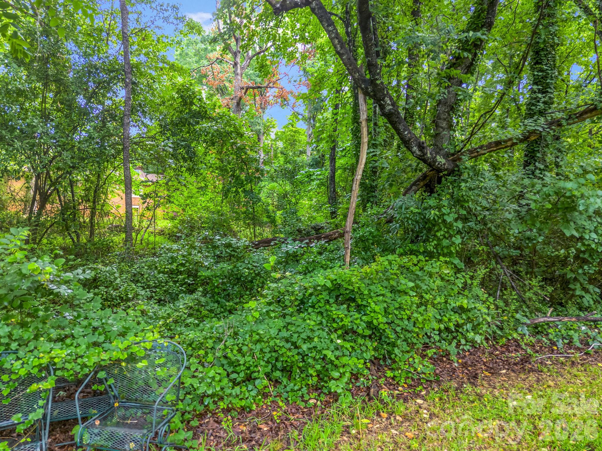 126 Bittle Street — Forest City
