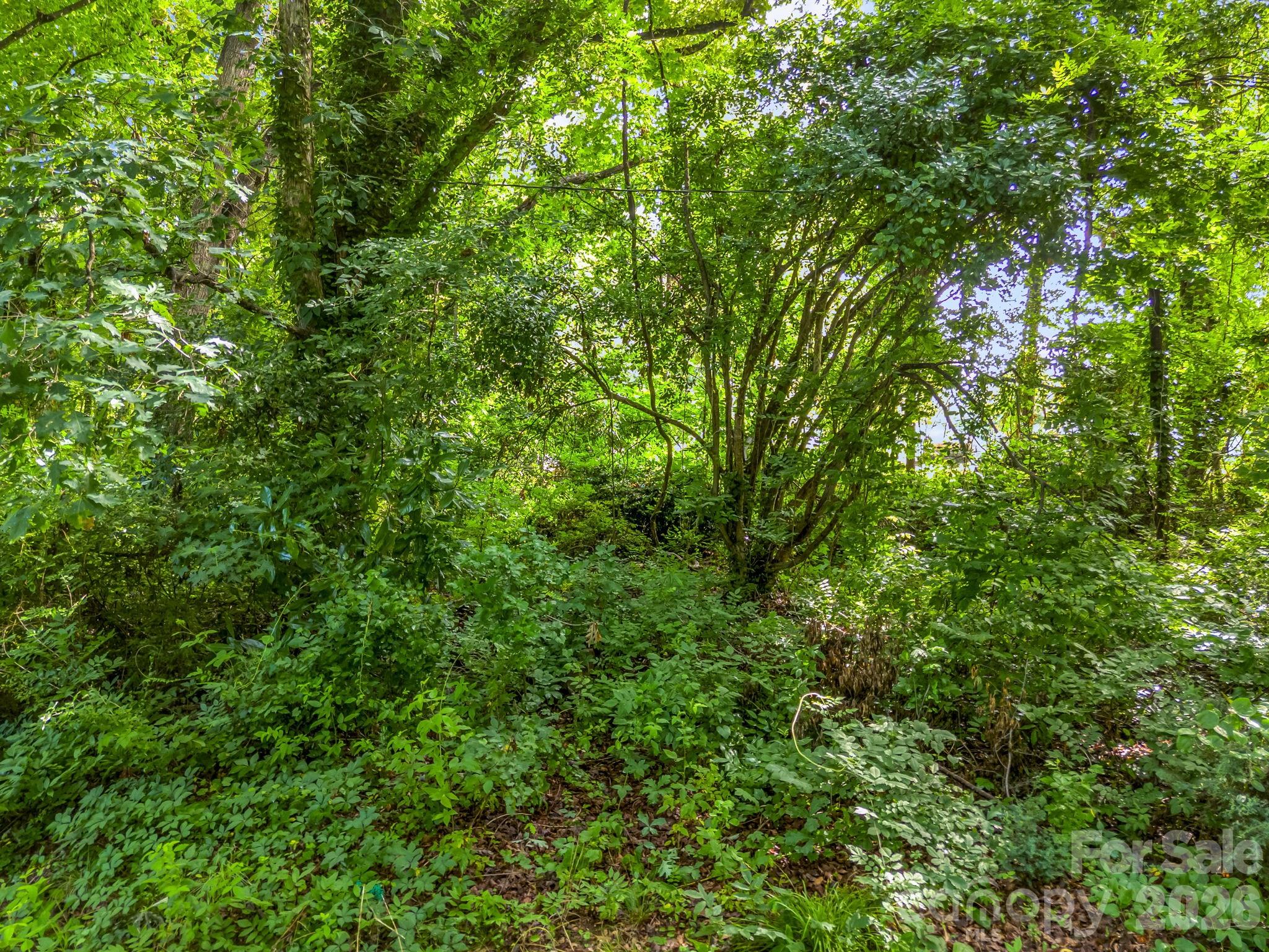 126 Bittle Street — Forest City