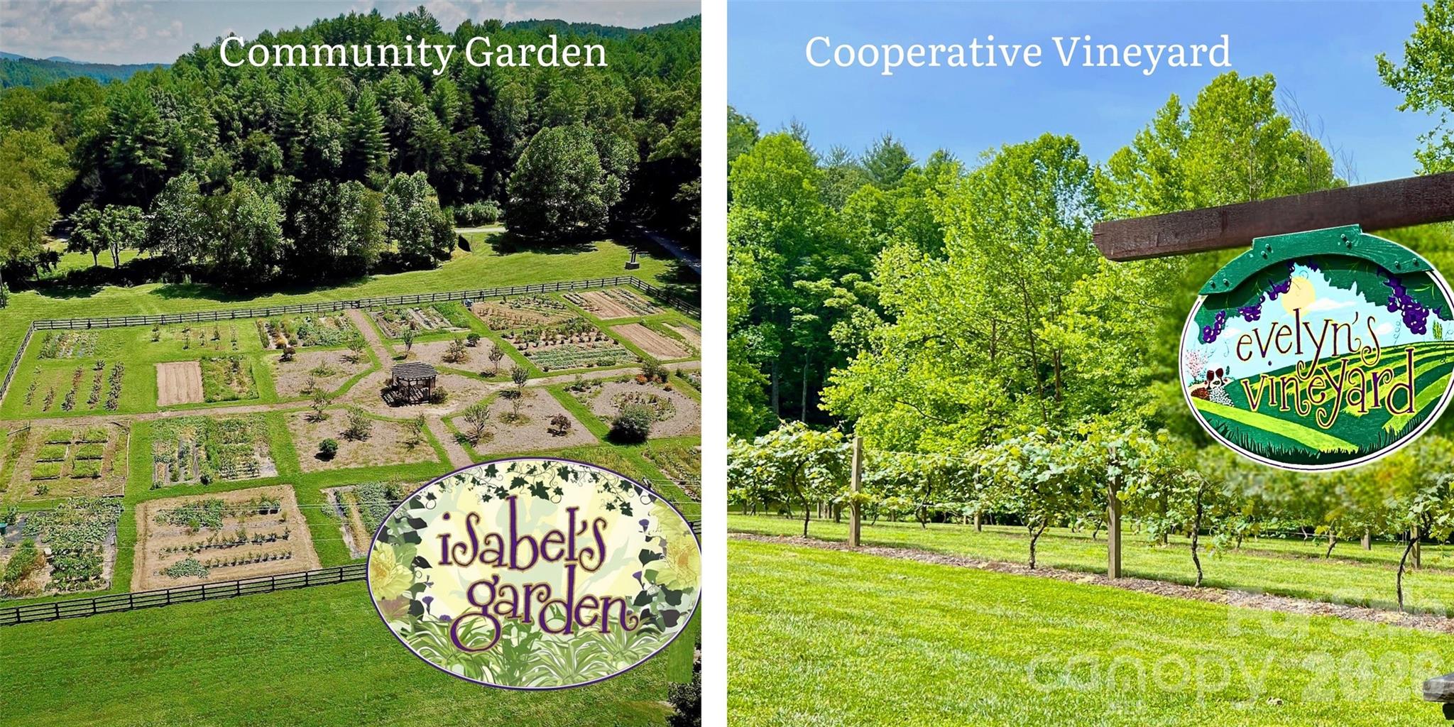 5515 Cedar Cove Way — Lenoir