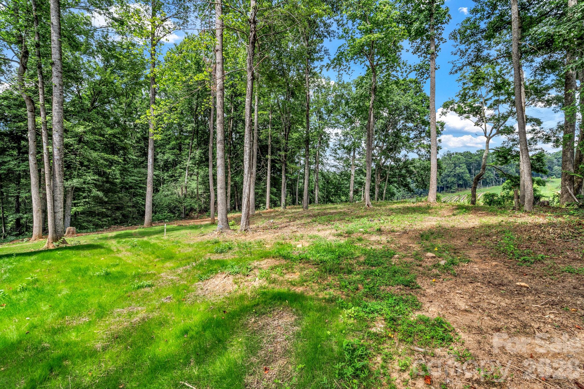 80 Goldenwood Lane — Mills River