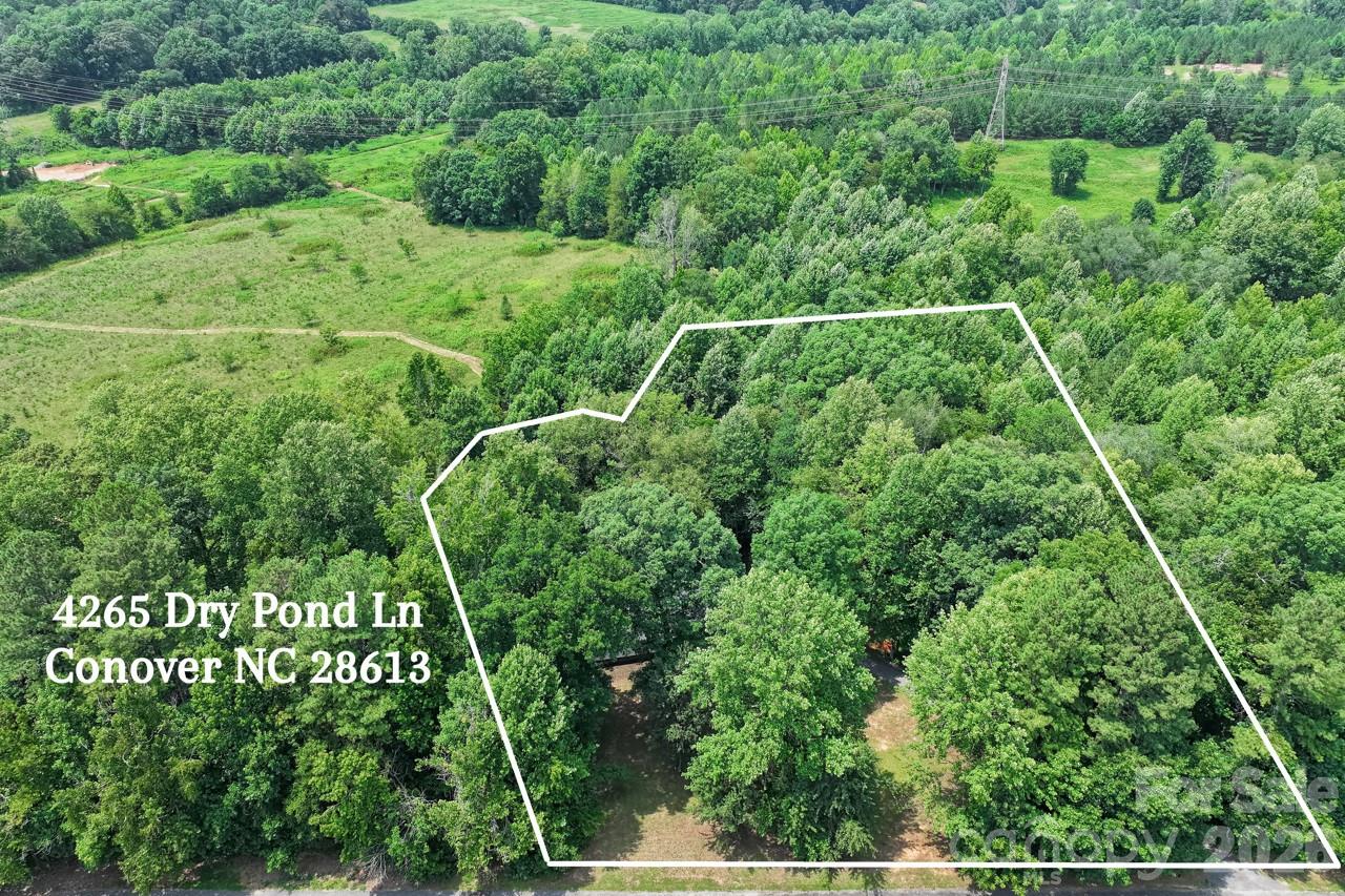 4265 Dry Pond Lane — Conover