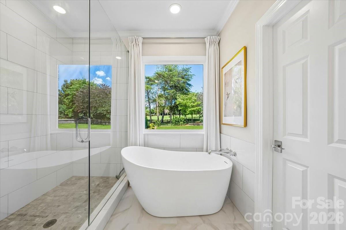 17229 Green Dolphin Lane — Cornelius