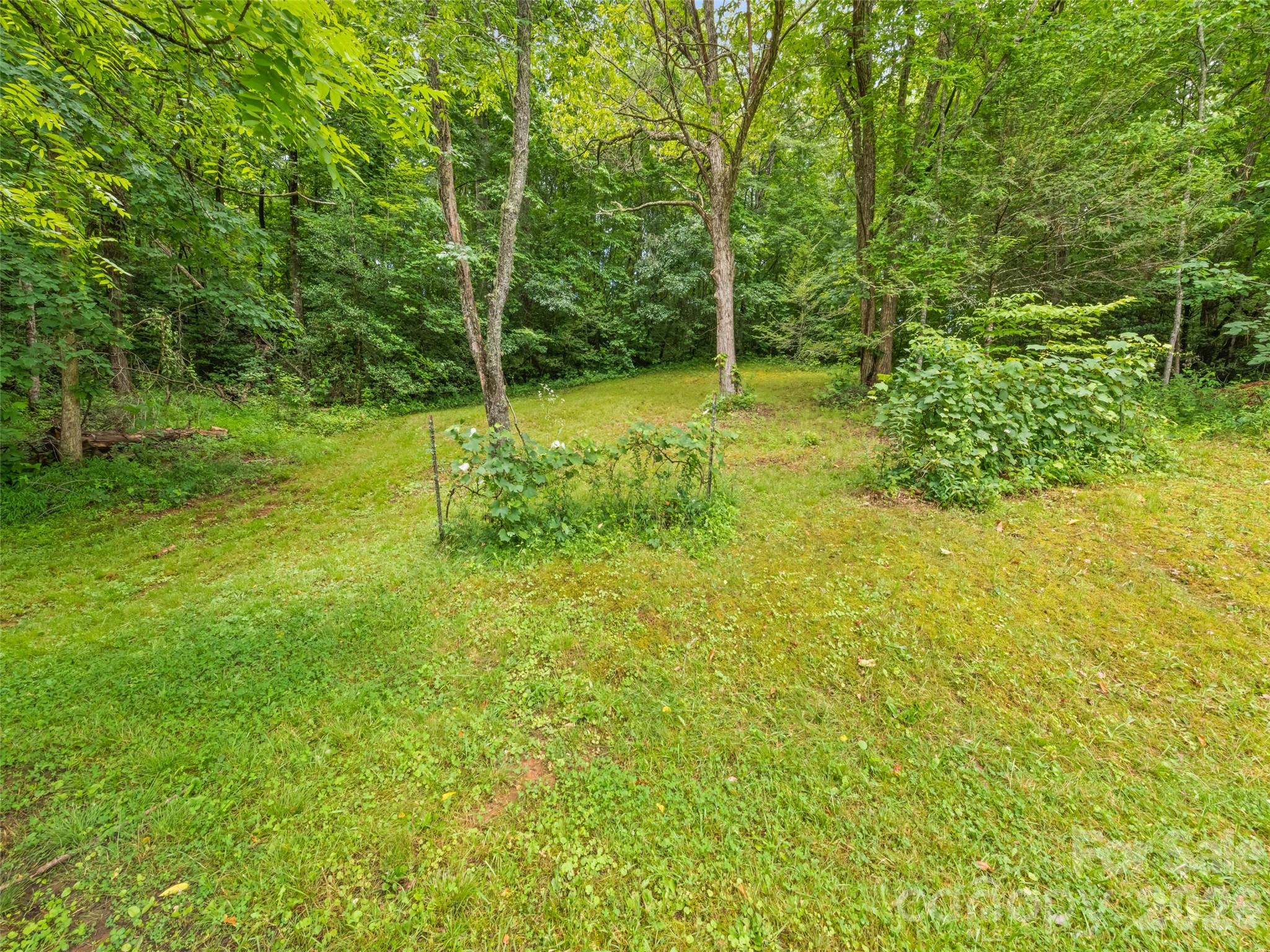 586 Olivet Church Road — Whittier
