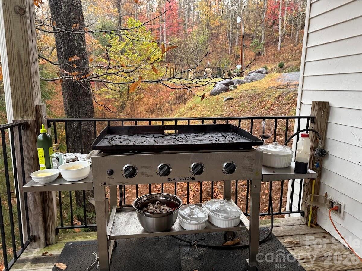 39 Rogers Creek Drive — Bakersville