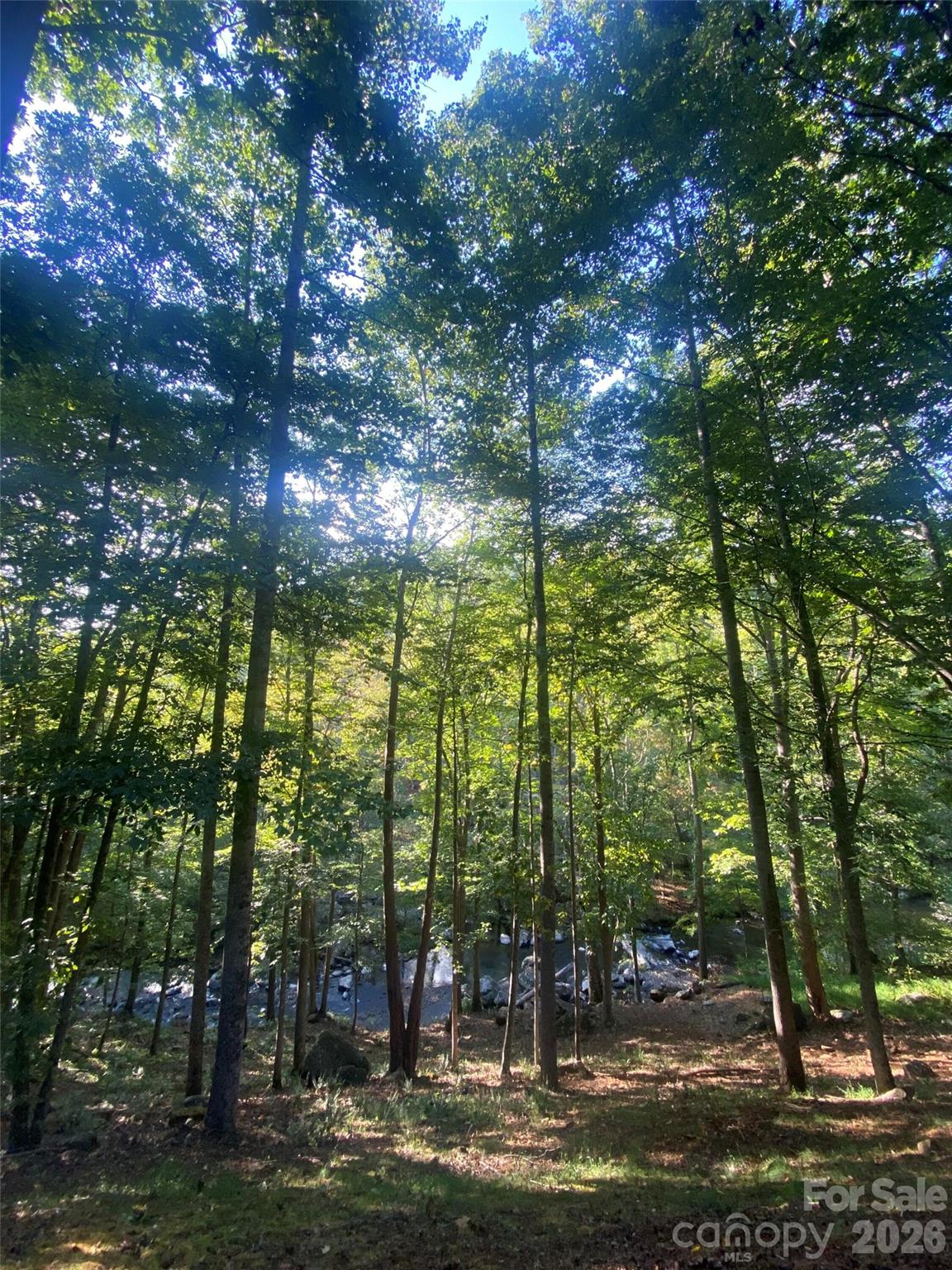 39 Rogers Creek Drive — Bakersville