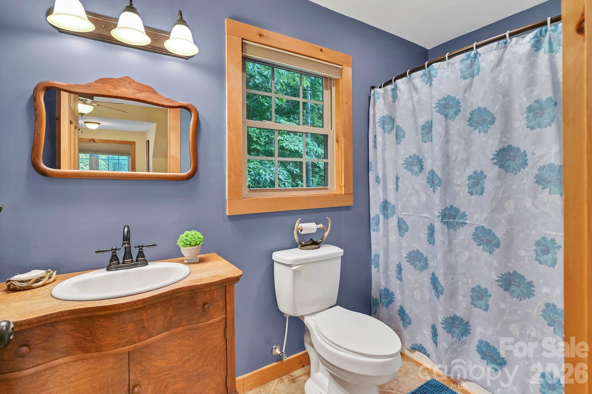 124 Small Creek Drive — Lake Lure