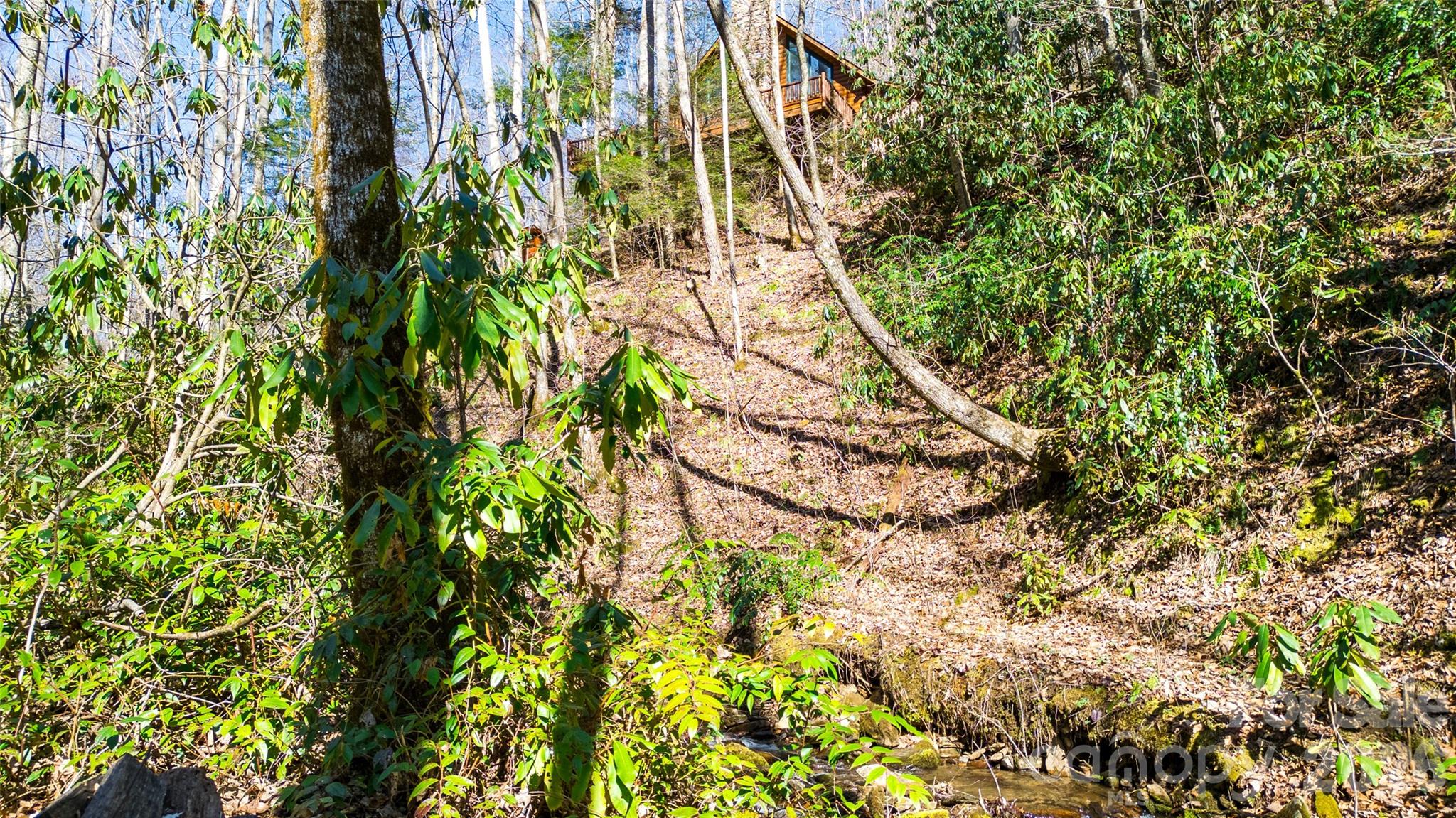 3458 Dicks Creek Road — Whittier