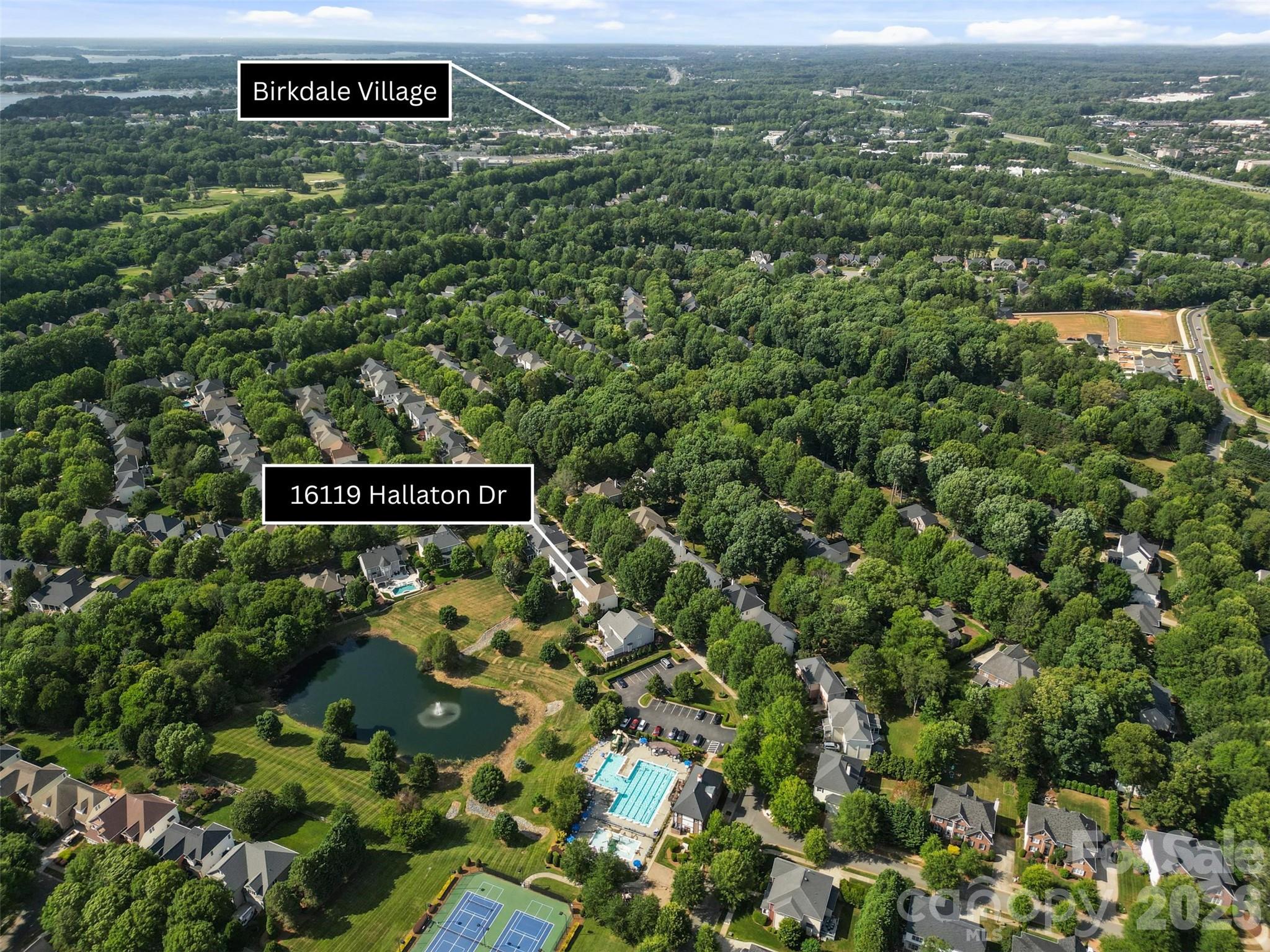 16119 Hallaton Drive — Huntersville