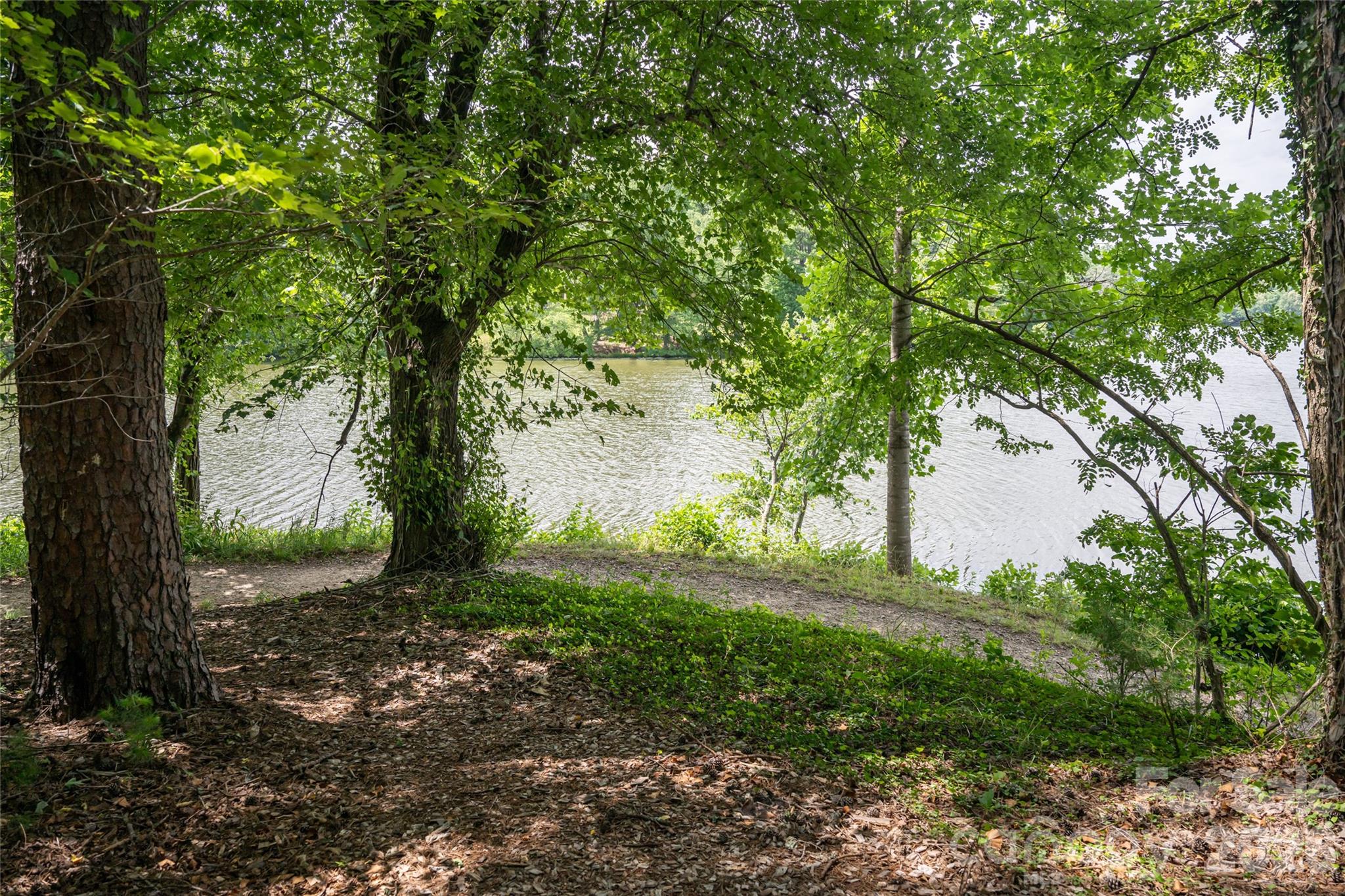 1116 Perch Fly Court — Biltmore Lake
