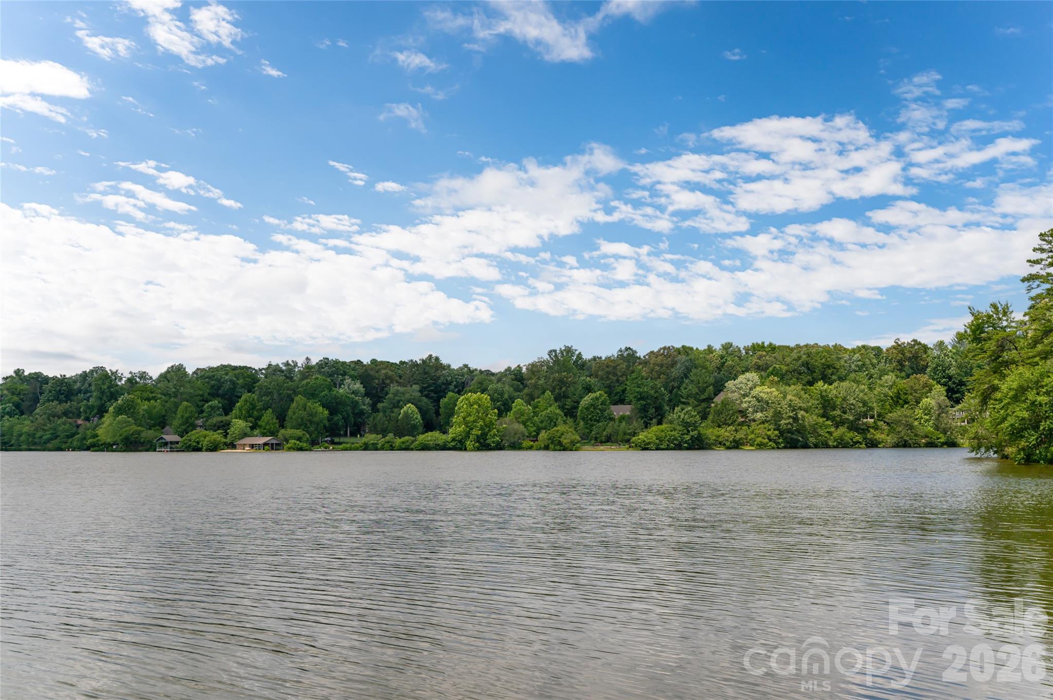 1116 Perch Fly Court — Biltmore Lake