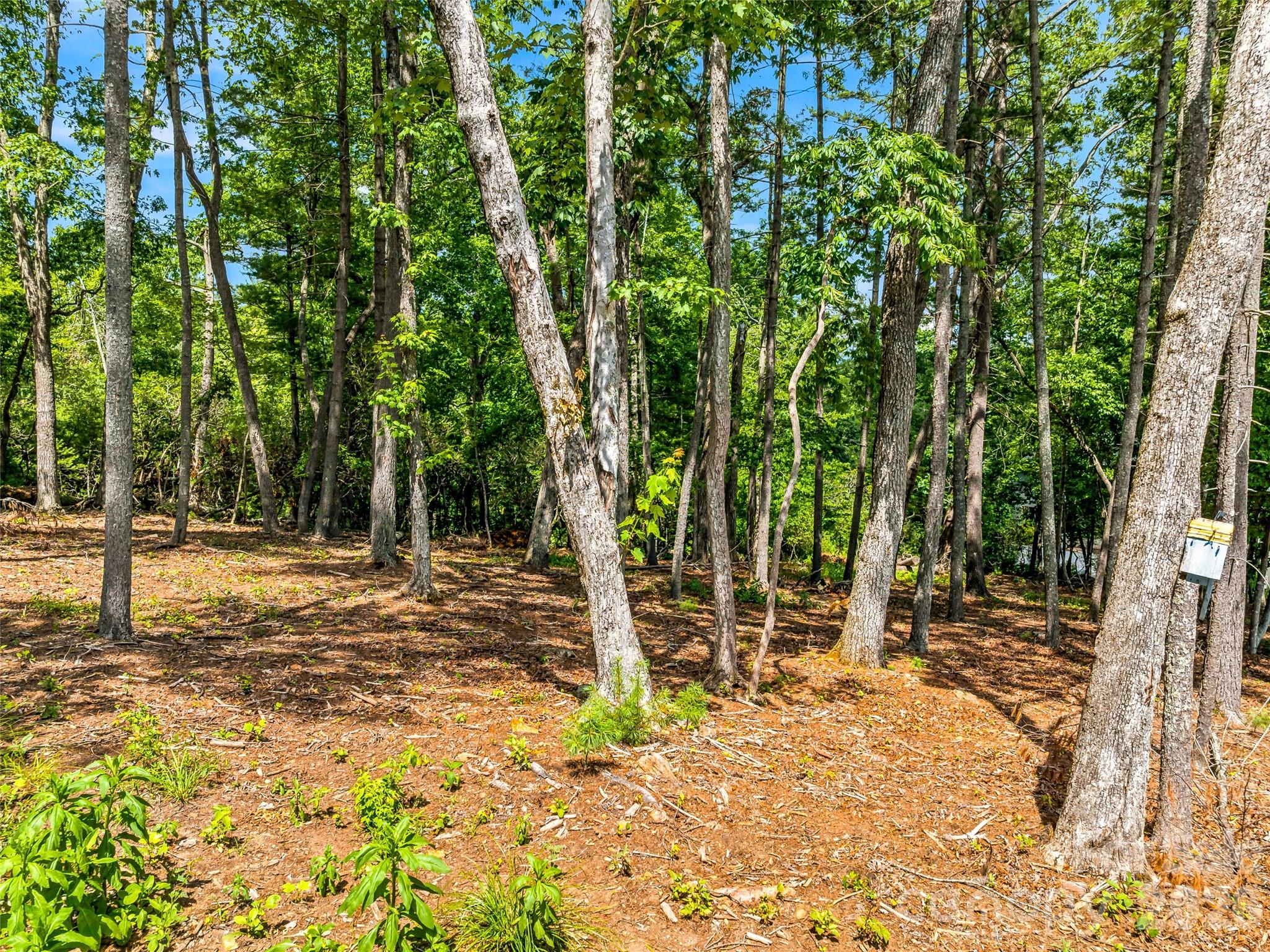 85 Powder Creek Trail — Arden