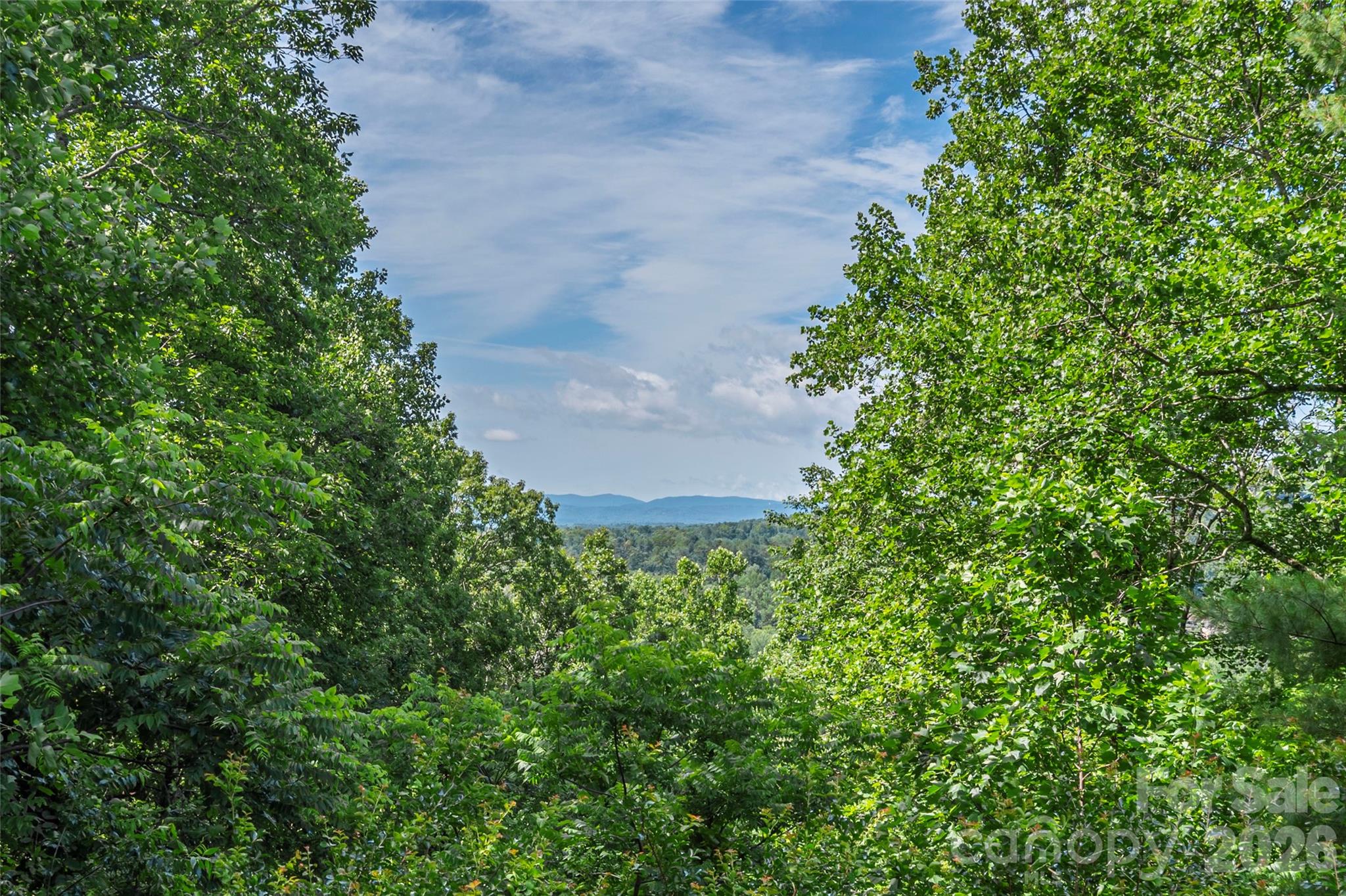 23 Moriah Lane — Asheville