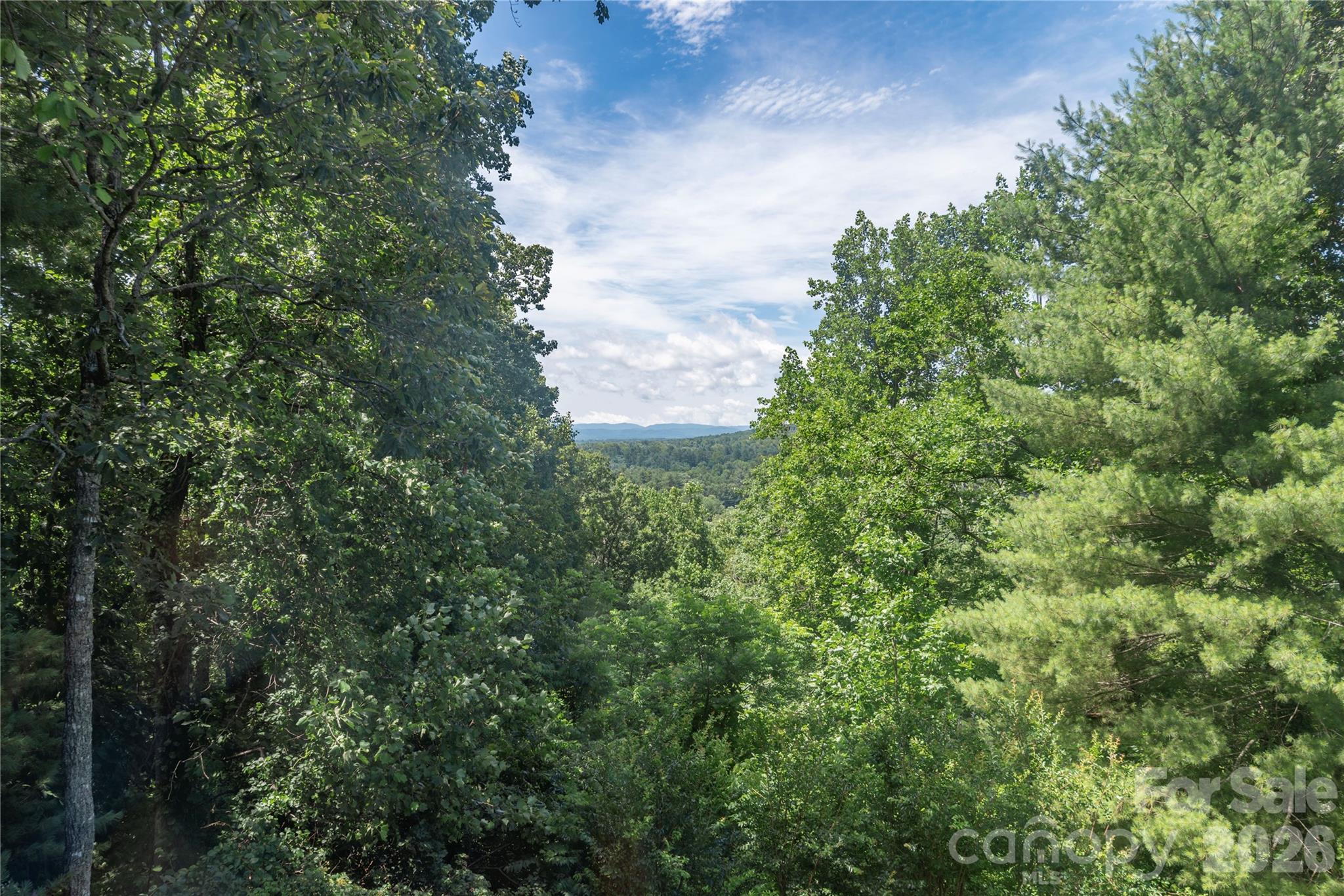 23 Moriah Lane — Asheville