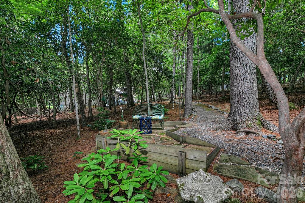 3125 Connestee Trail — Brevard