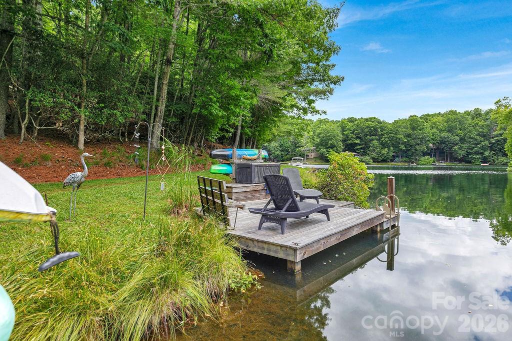 3125 Connestee Trail — Brevard