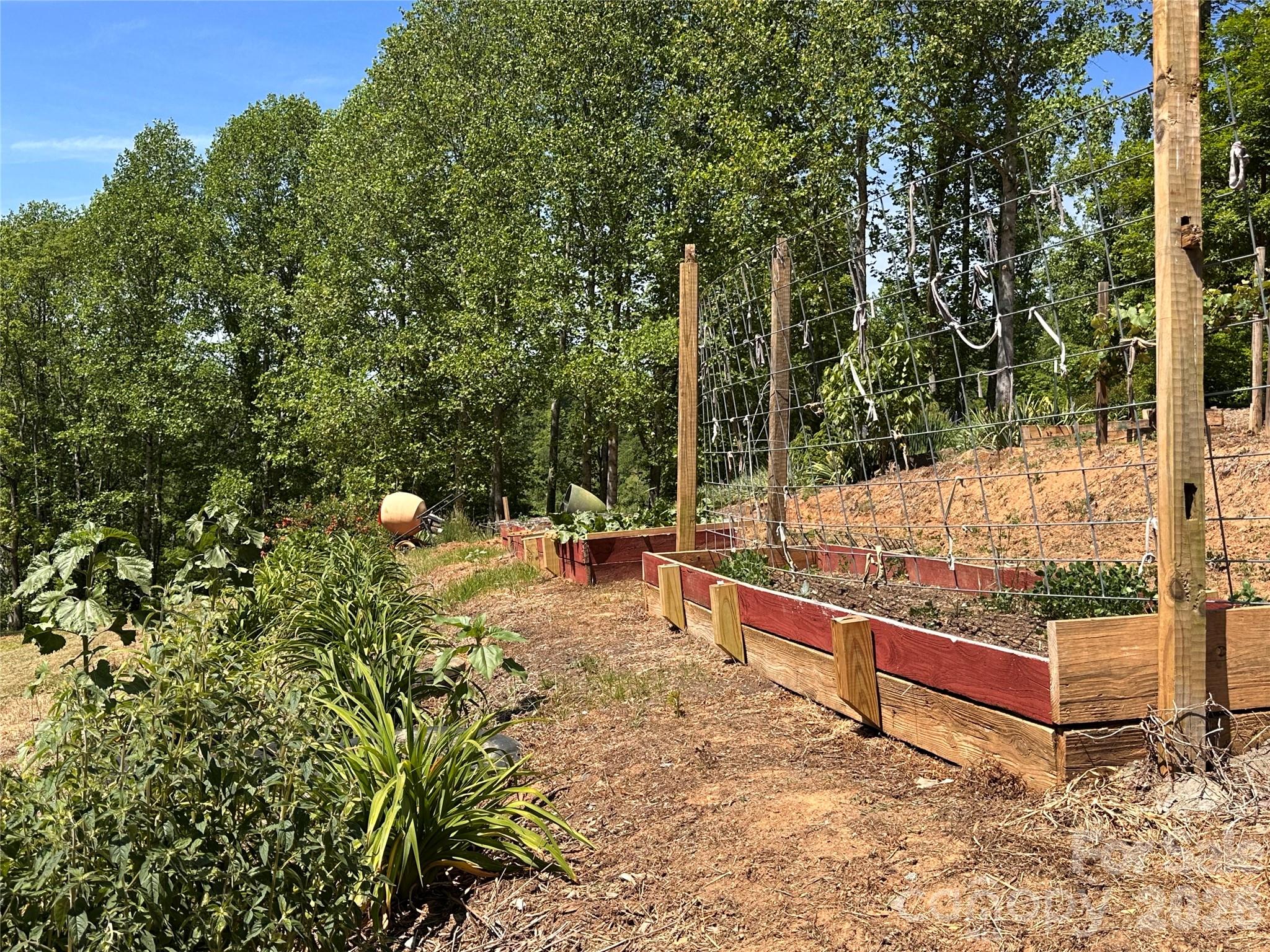 2825 Harrell Hill Road — Bakersville