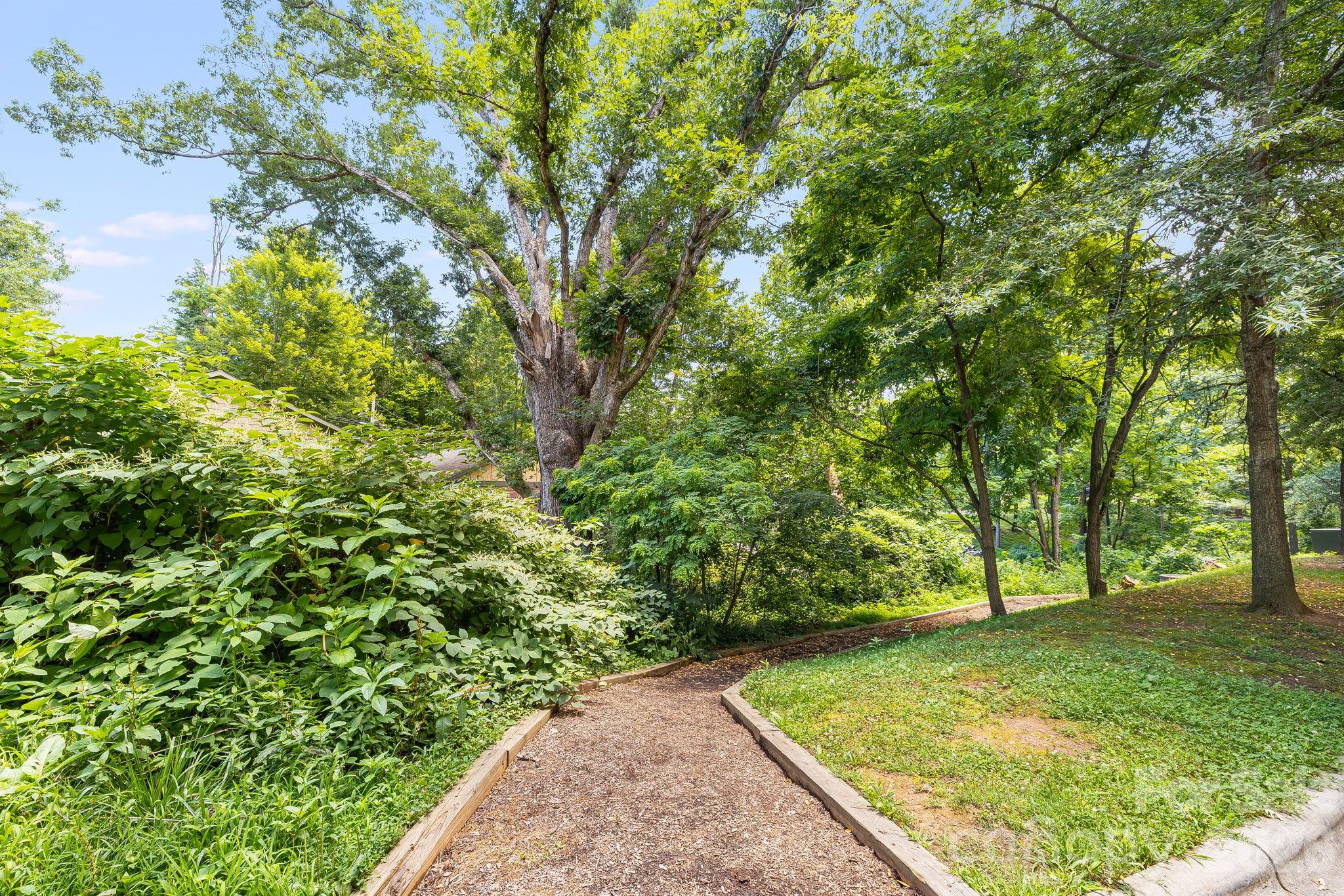 72 Owens Bell Lane — Asheville