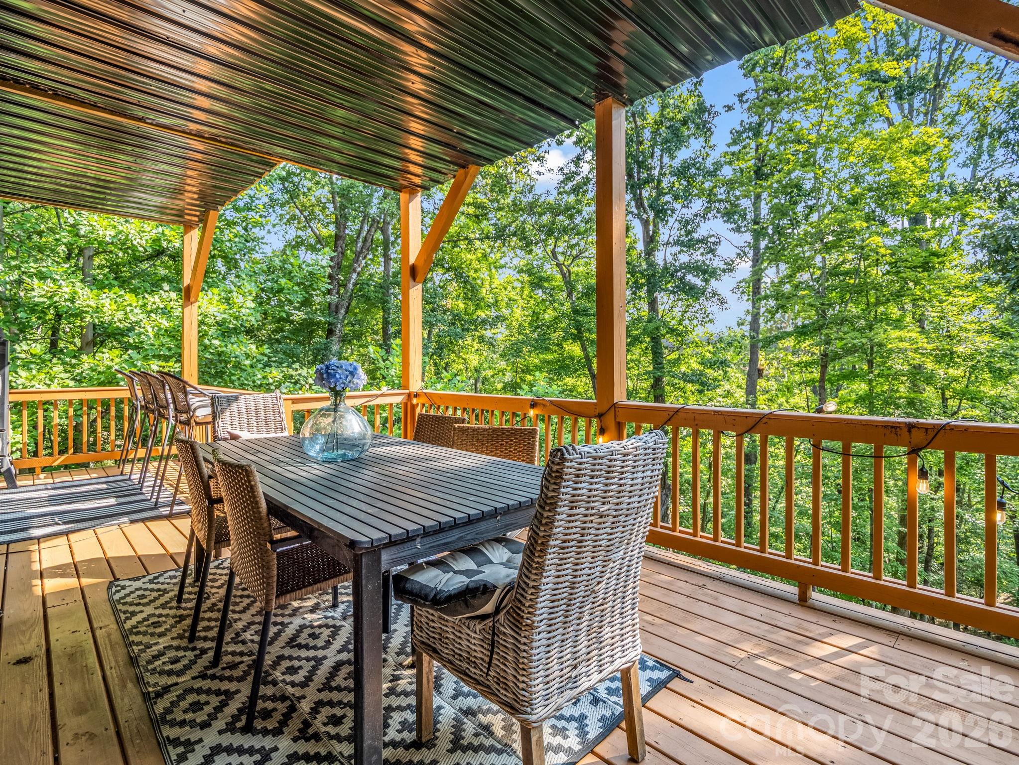 274 Hawks Nest Trail — Lake Lure